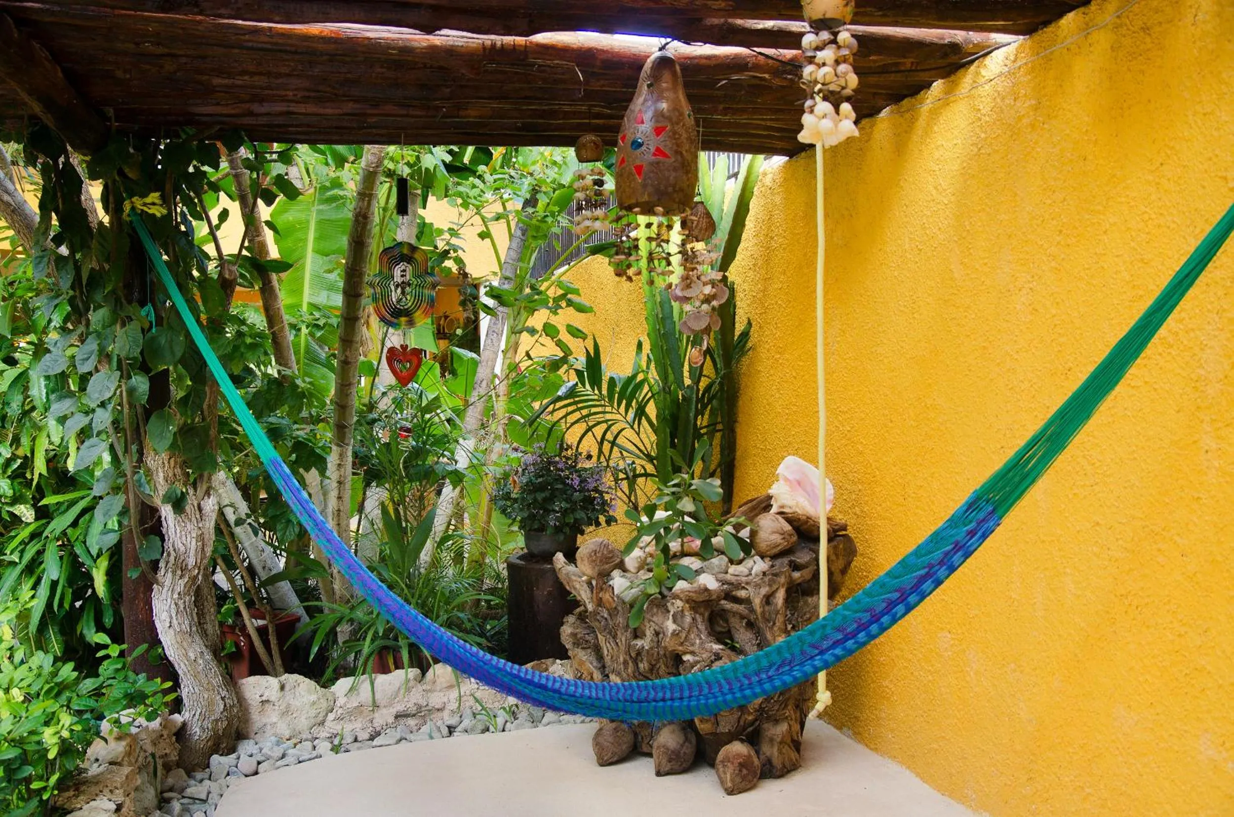 Natural landscape in Hotel Bosque Caribe, 5th Av. zone