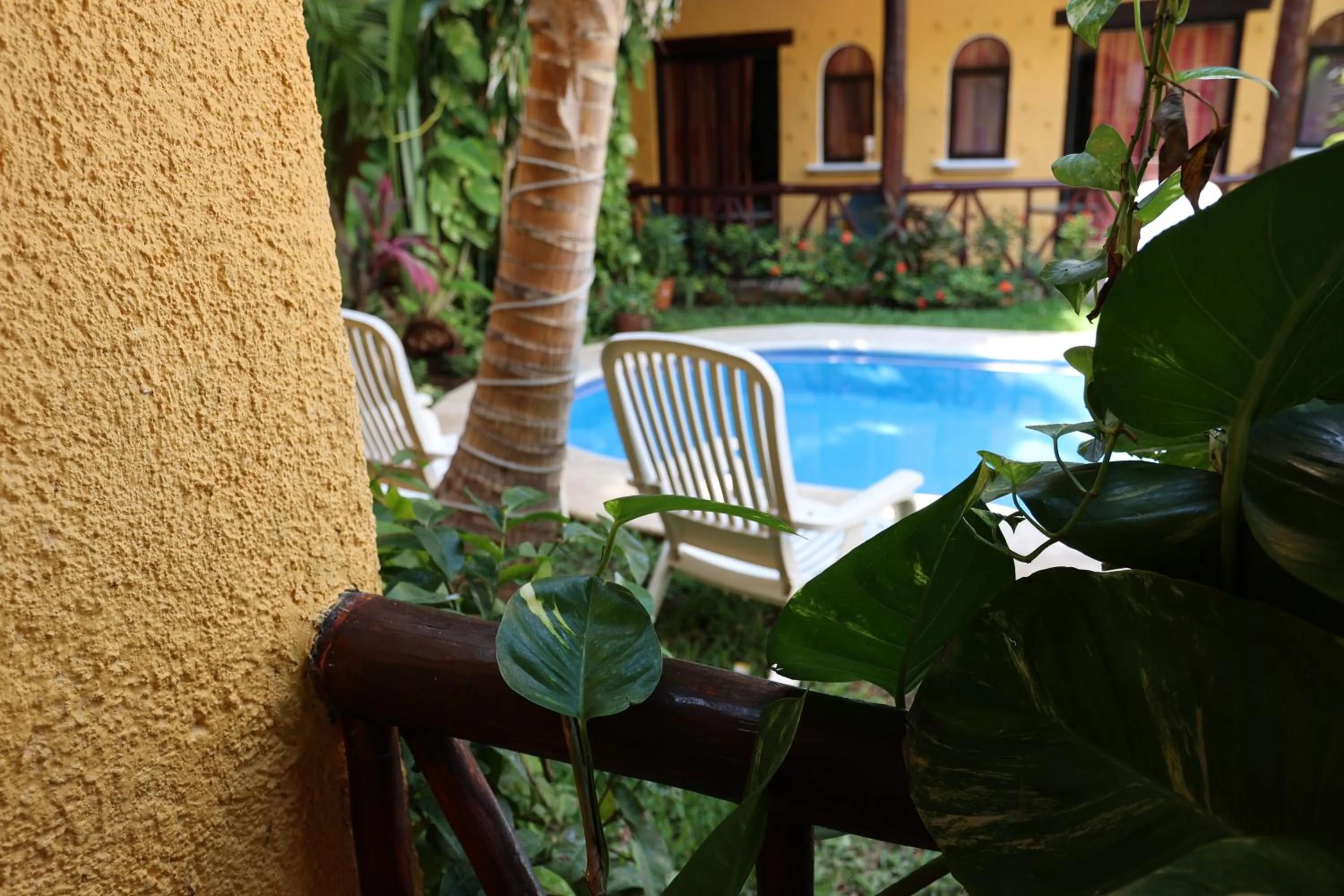 Garden in Hotel Bosque Caribe, 5th Av. zone