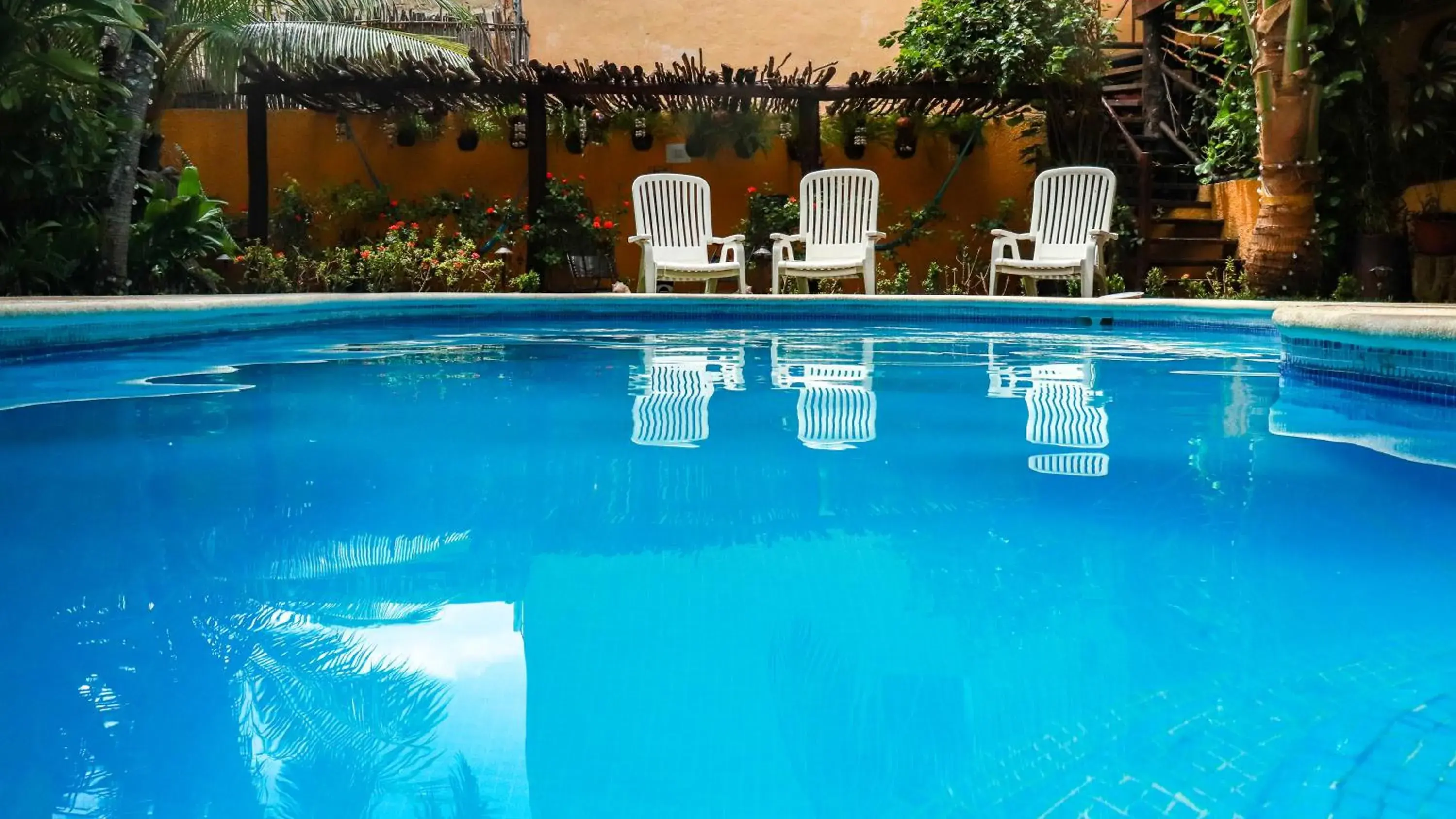 Swimming pool in Hotel Bosque Caribe, 5th Av. zone Swimming pool in Hotel Bosque Caribe, 5th Av. zone
