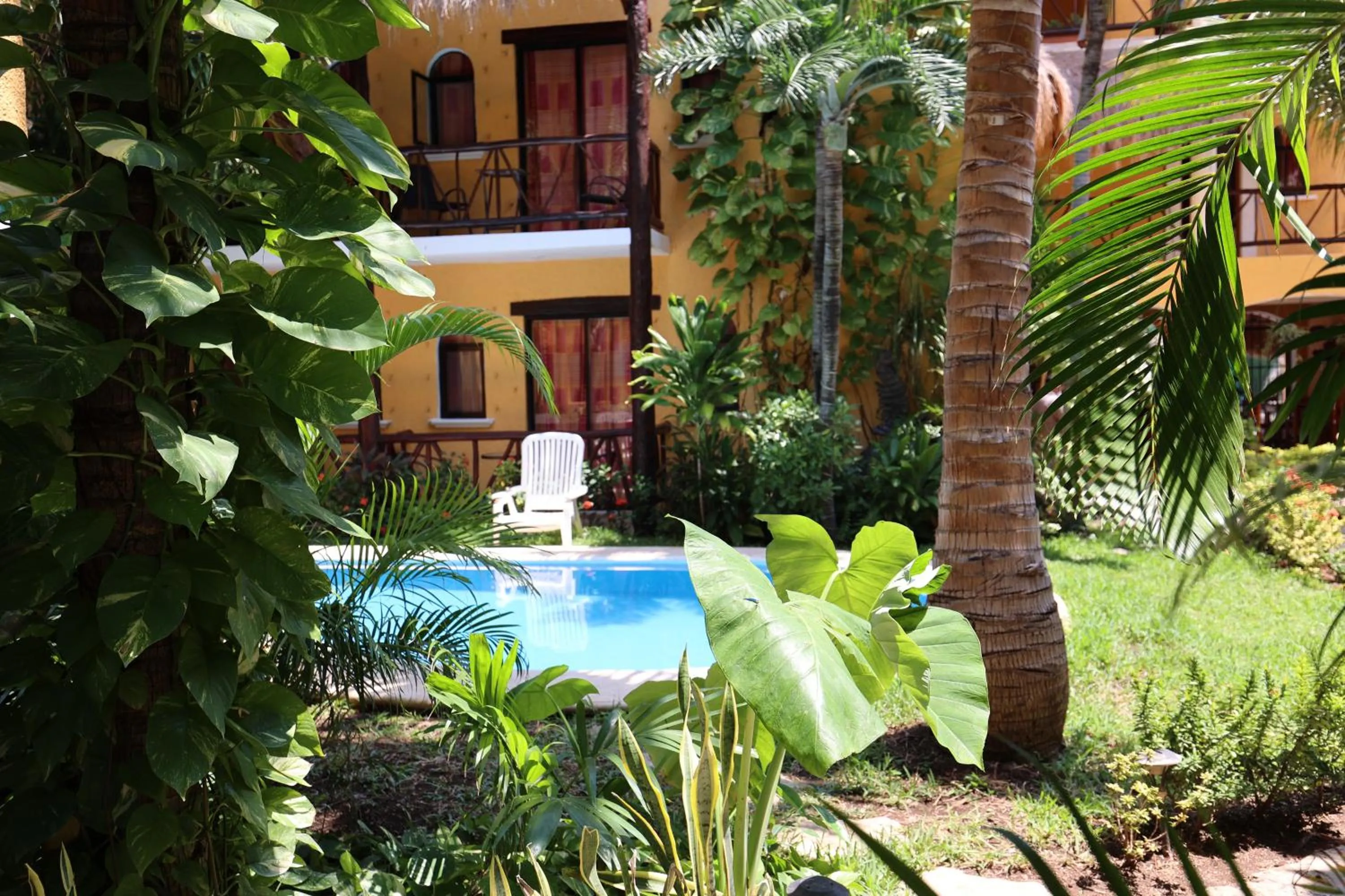 Property building in Hotel Bosque Caribe, 5th Av. zone