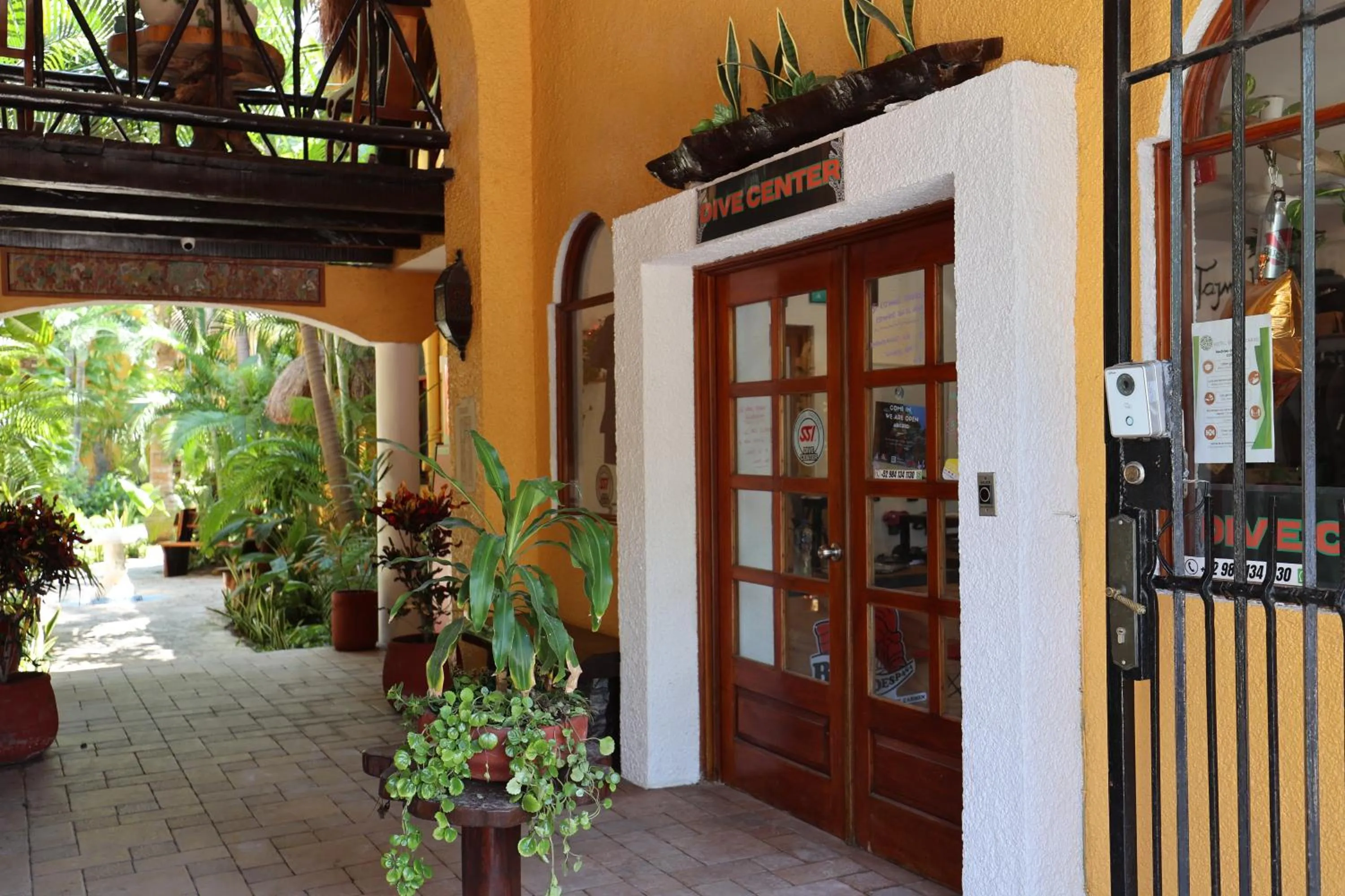 Diving in Hotel Bosque Caribe, 5th Av. zone