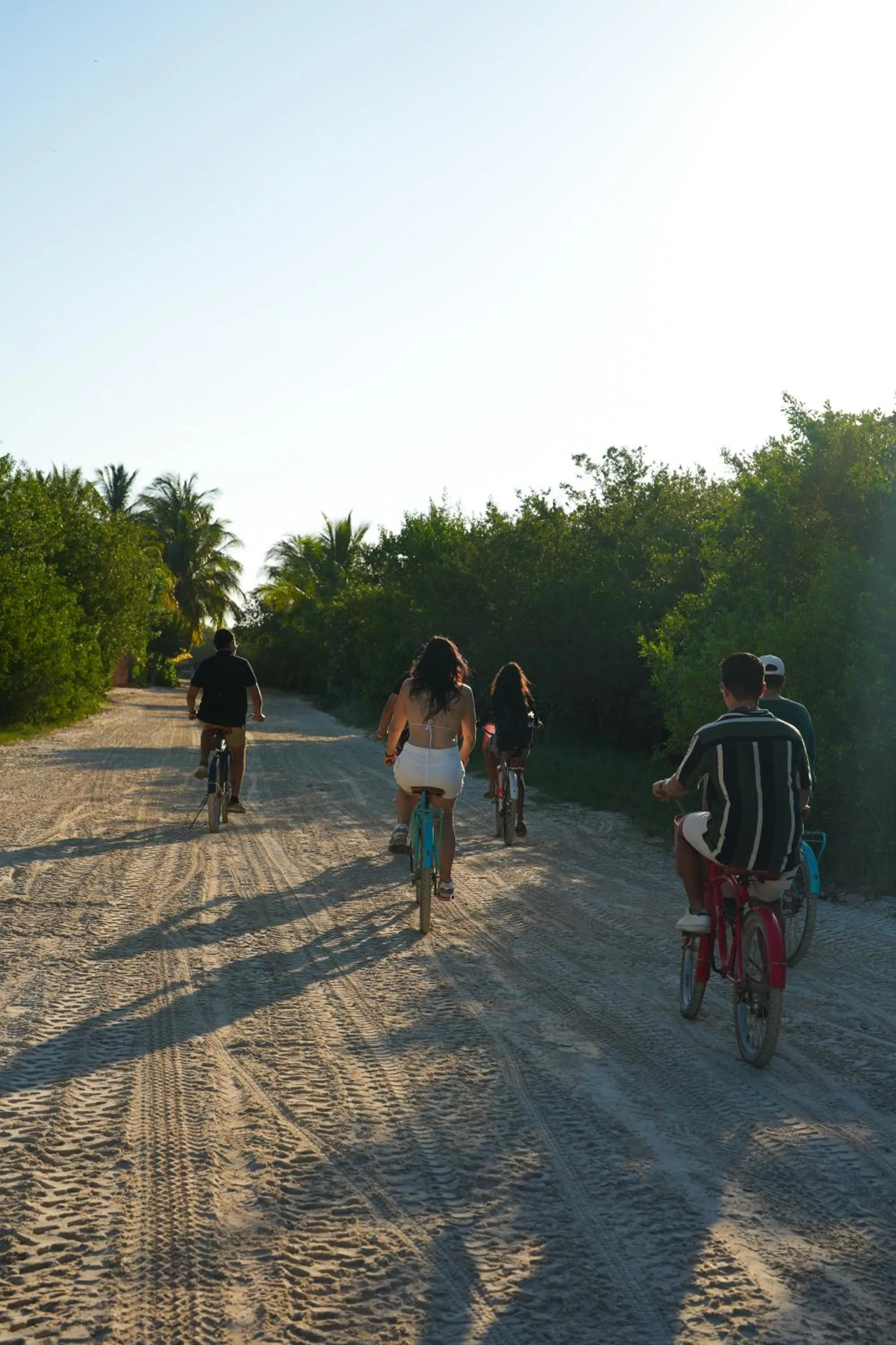 Activities in Casa Las Tortugas Petit Beach Hotel & Spa