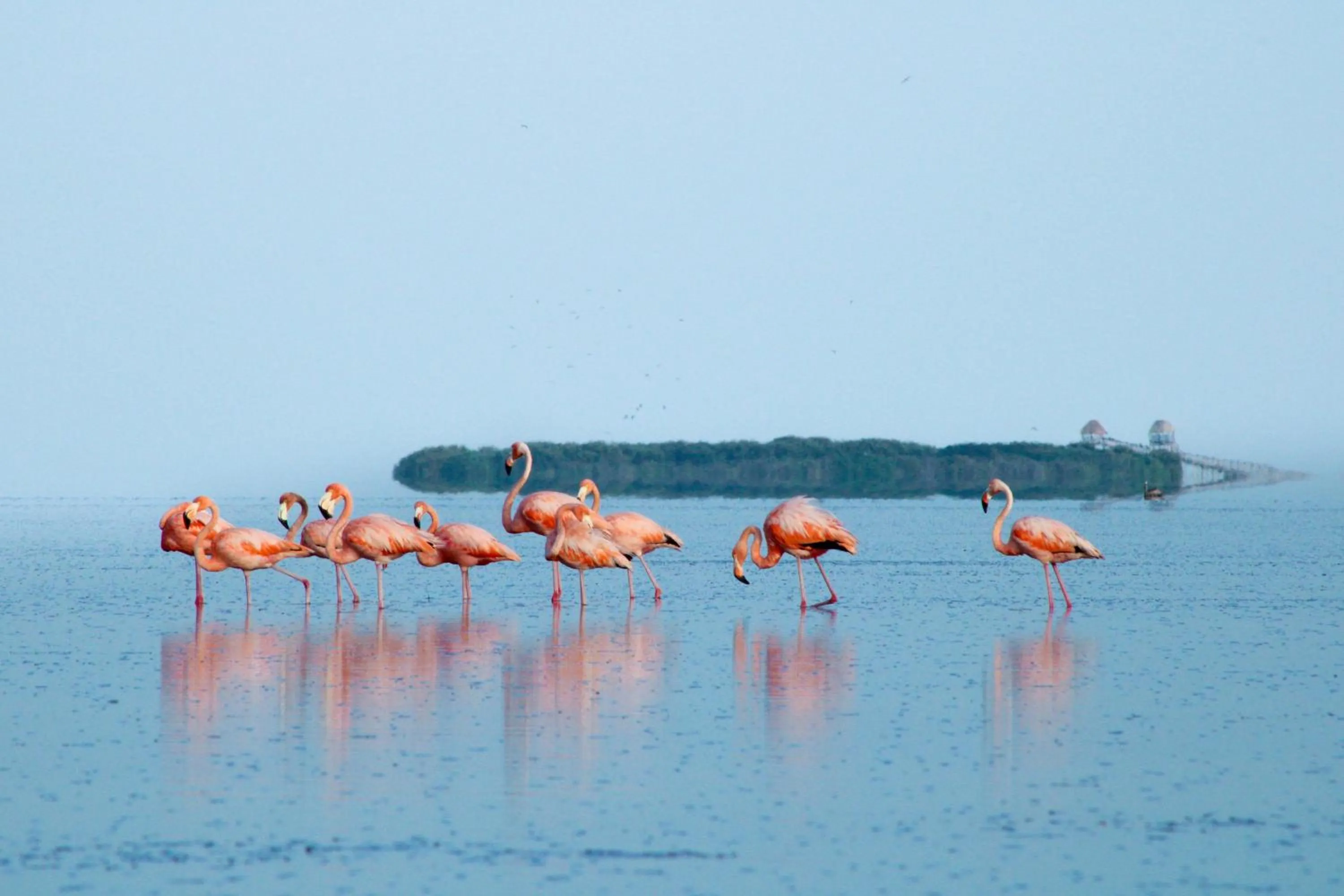 Natural landscape in Casa Las Tortugas Petit Beach Hotel & Spa