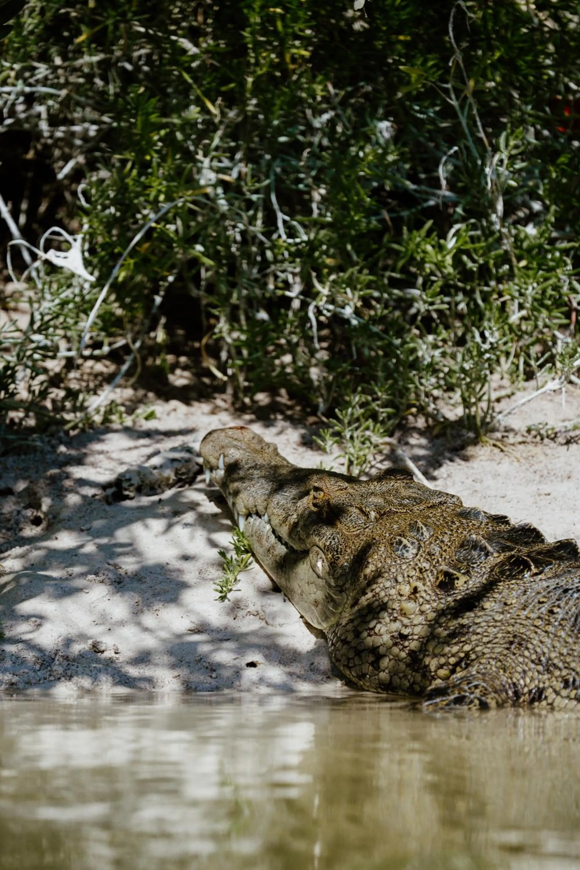 Day in Casa Las Tortugas Petit Beach Hotel & Spa