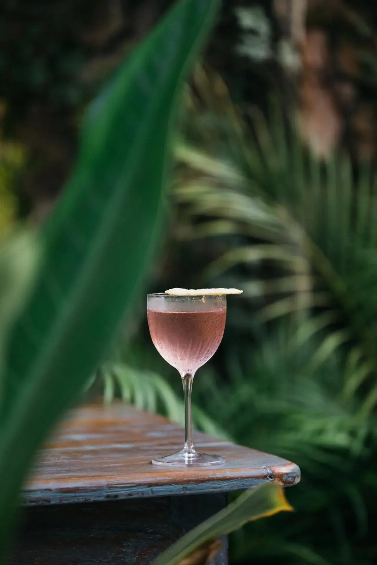 Restaurant/places to eat in Casa Las Tortugas Petit Beach Hotel & Spa Restaurant/places to eat in Casa Las Tortugas Petit Beach Hotel & Spa