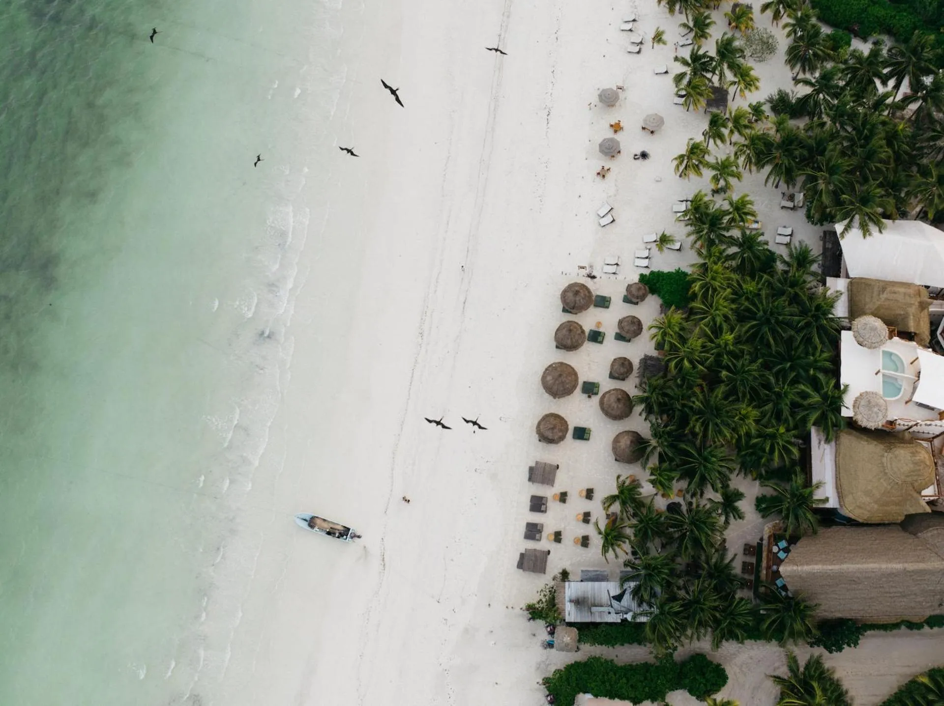 Beach in Casa Las Tortugas Petit Beach Hotel & Spa