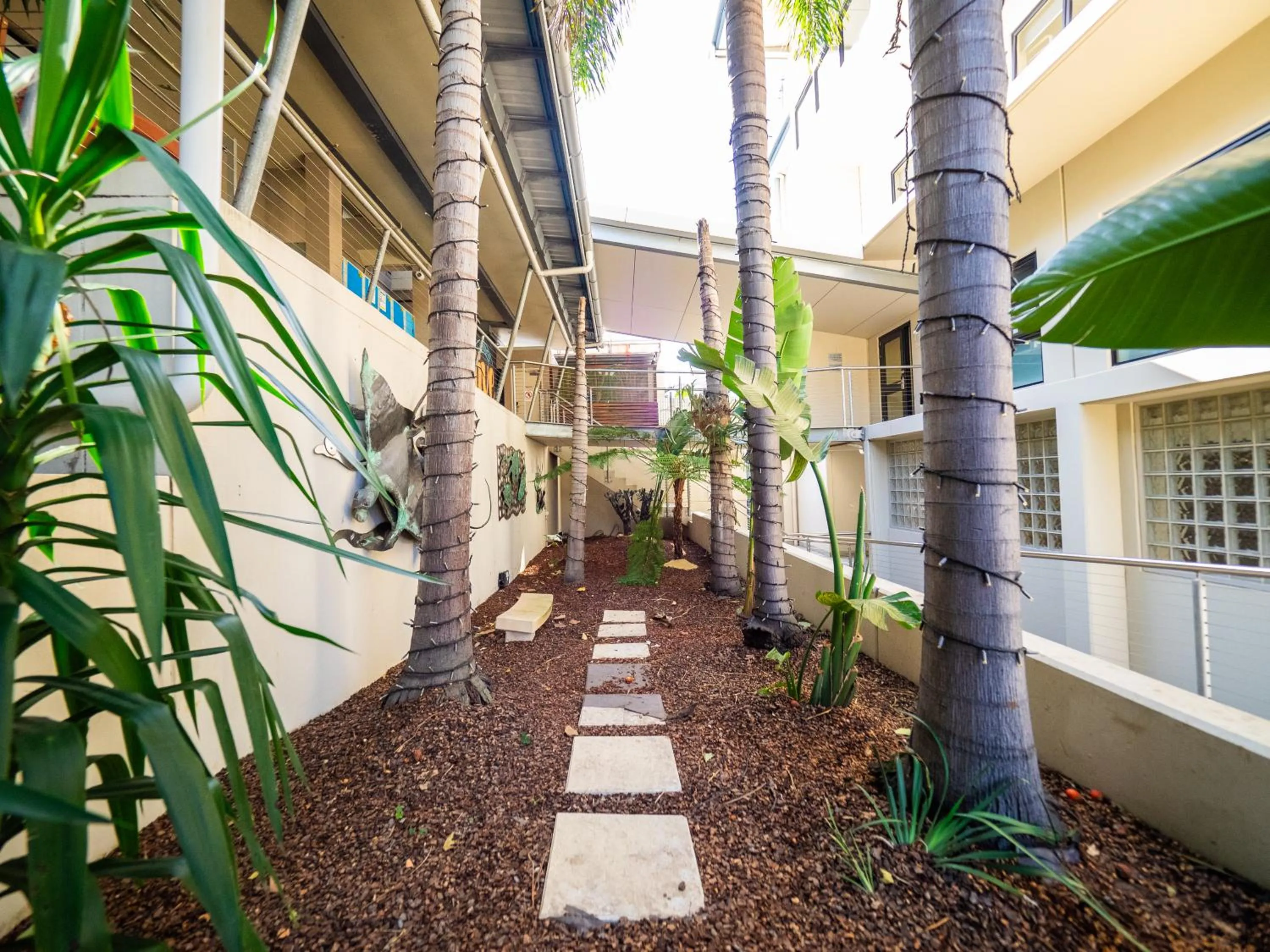 Garden in YHA Brisbane City