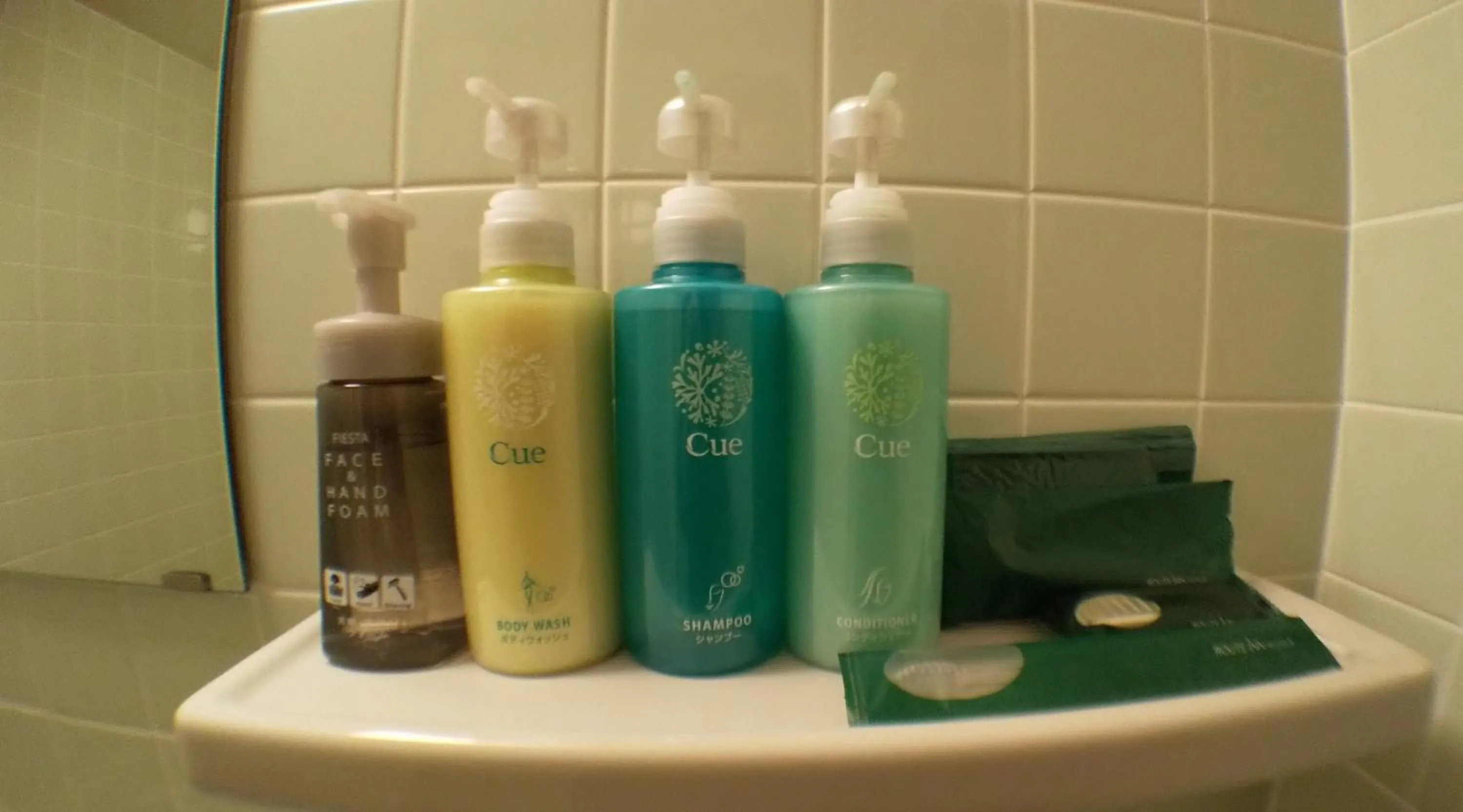 Other in Hotel Route-Inn Nago