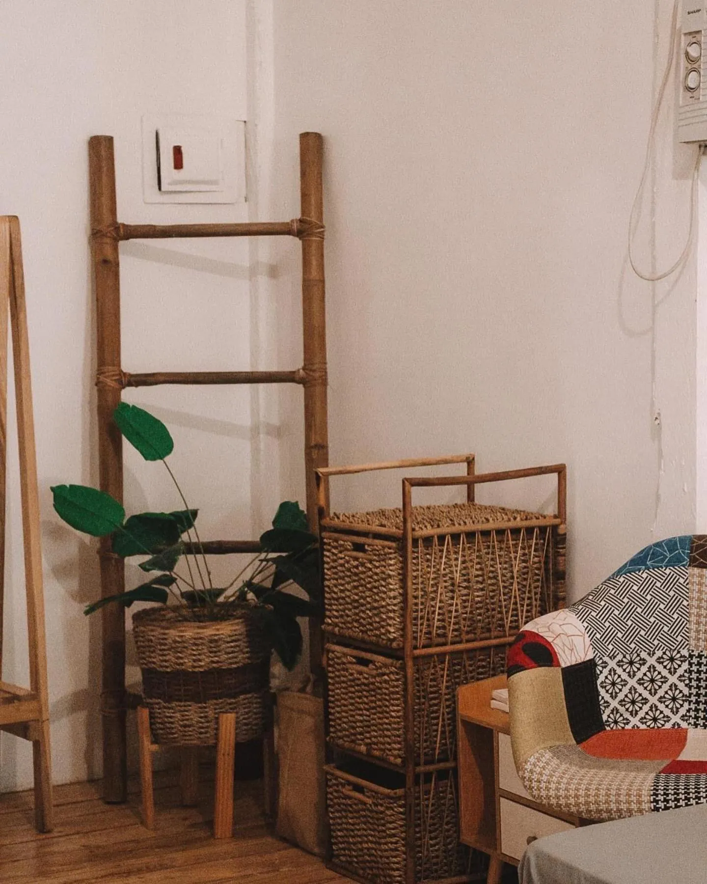 Monkey Business Siquijor