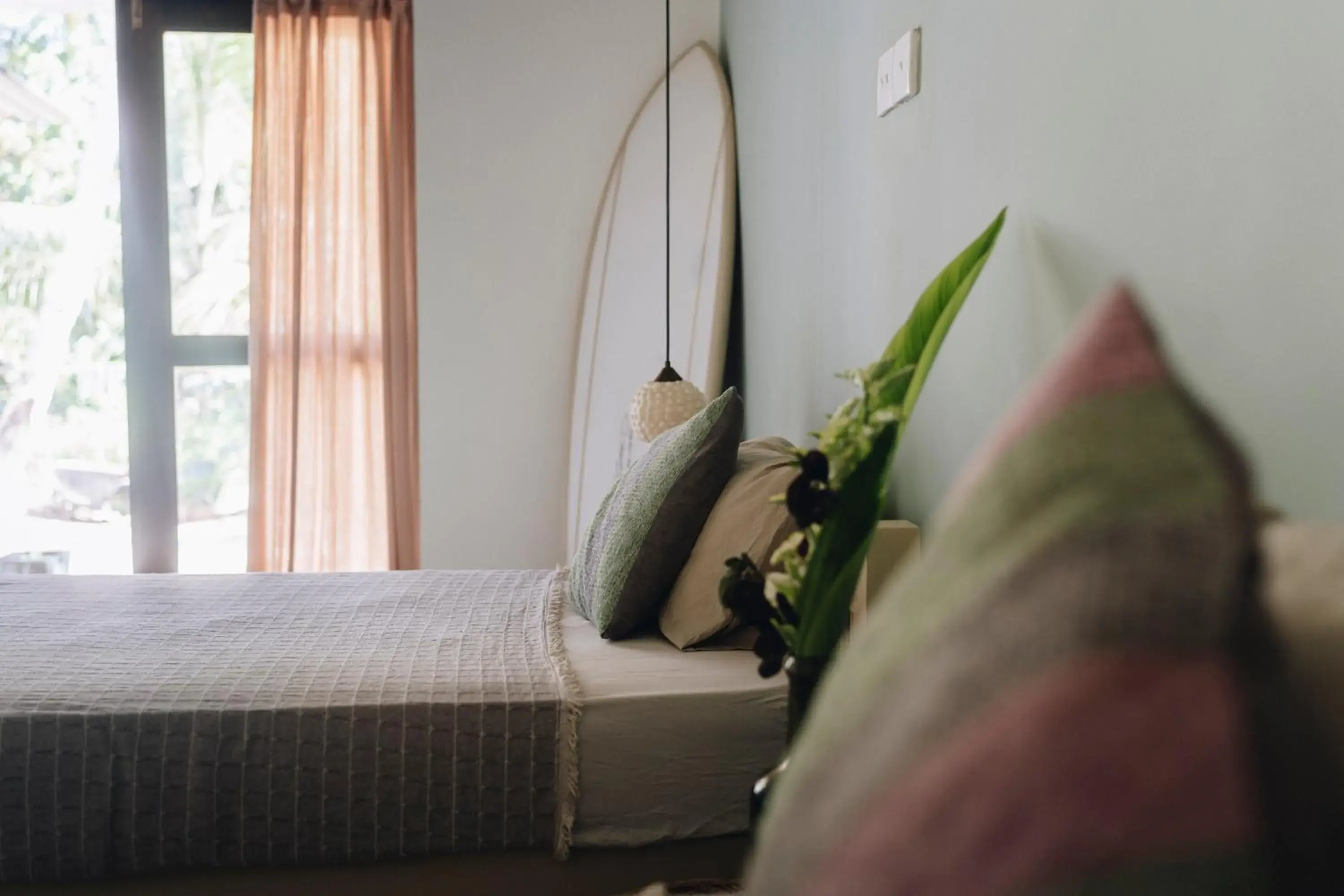 Standard Twin Room with Garden View - single occupancy in Mellow Hostel Sri Lanka Standard Twin Room with Garden View - single occupancy in Mellow Hostel Sri Lanka