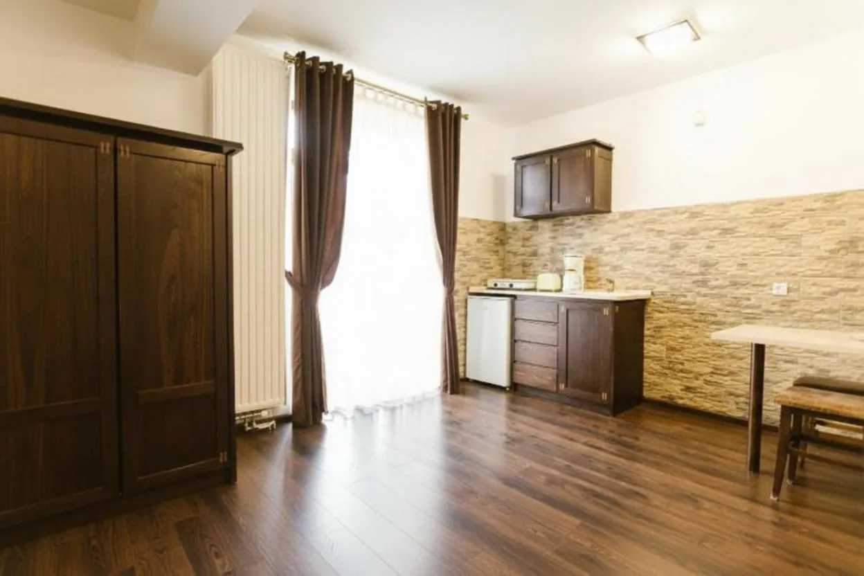 Kitchen or kitchenette in Hanul Conitei