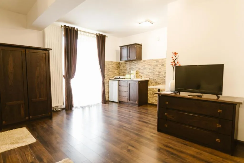 Kitchen or kitchenette in Hanul Conitei