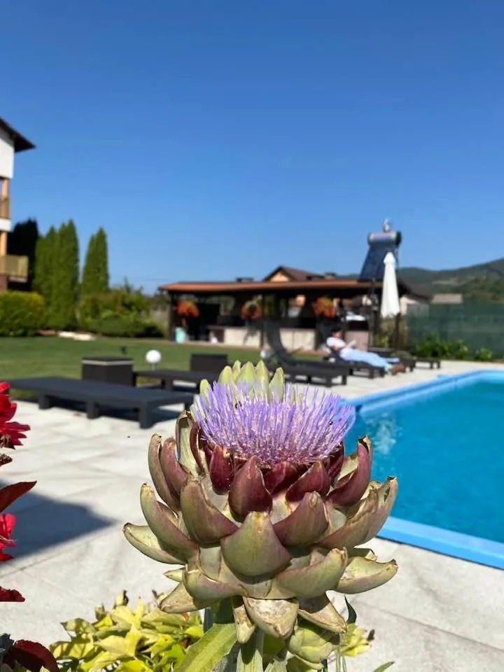 Swimming pool in Hanul Conitei