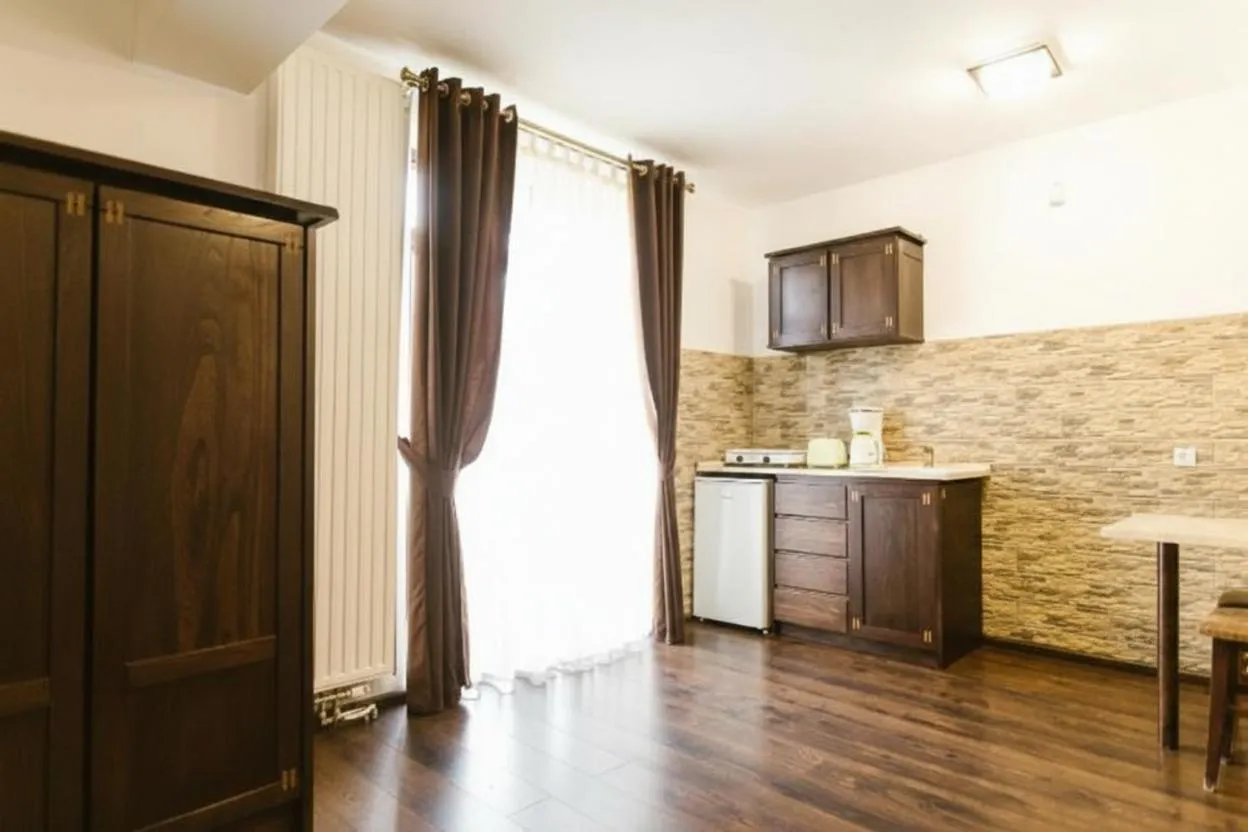 Kitchen or kitchenette in Hanul Conitei