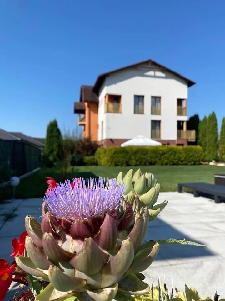 Property building in Hanul Conitei