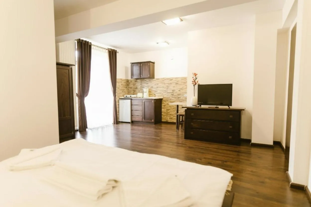 Kitchen or kitchenette in Hanul Conitei