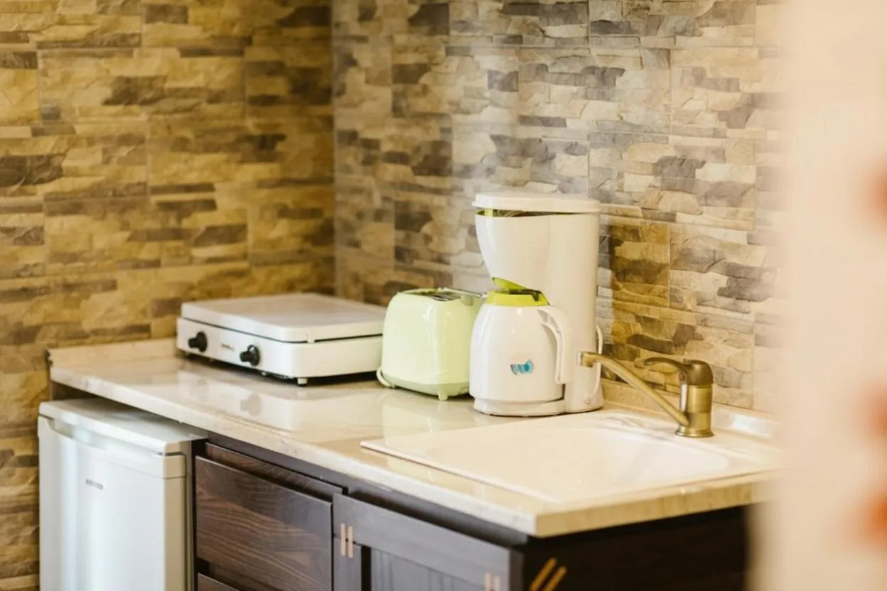 Kitchen or kitchenette in Hanul Conitei