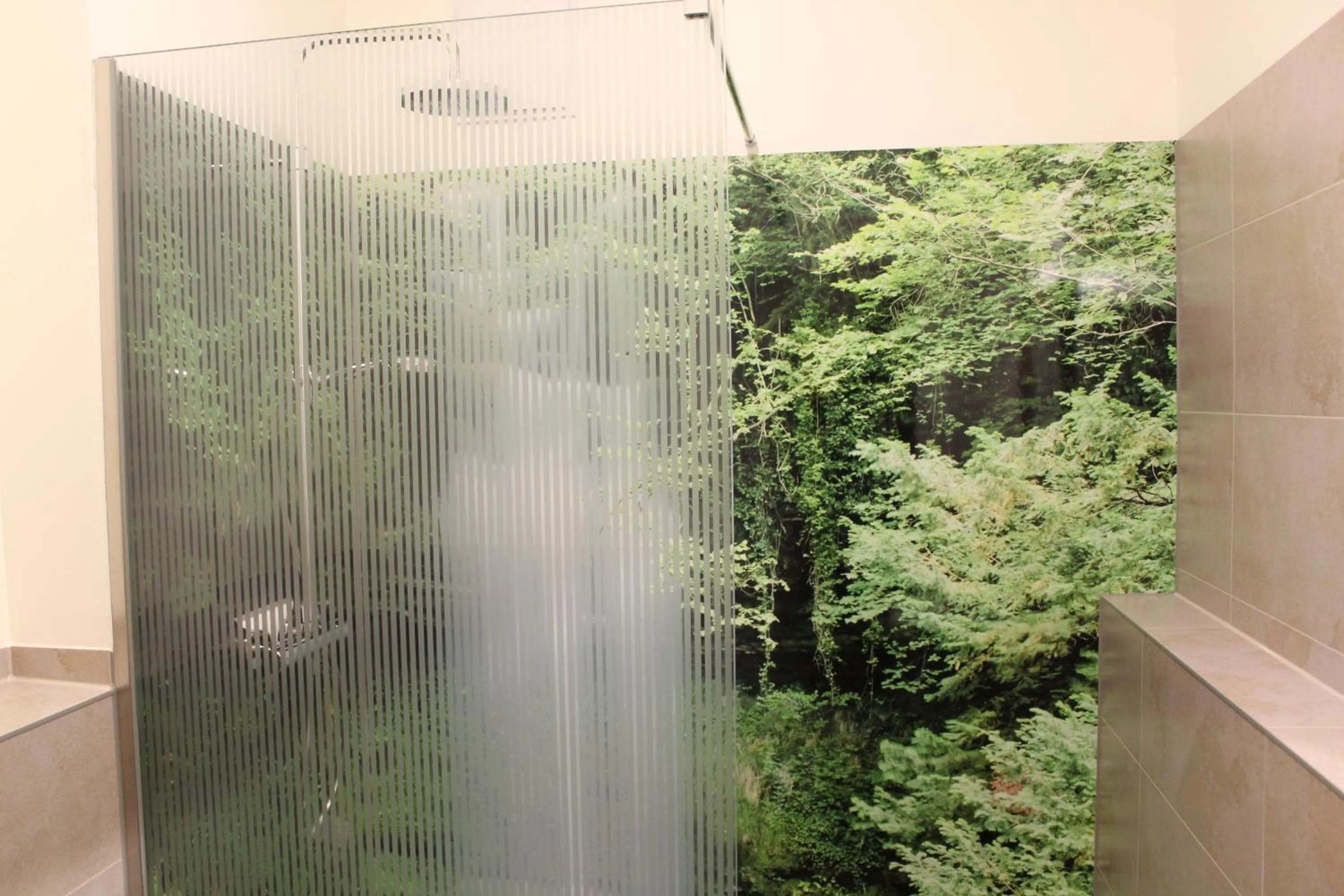 Shower in Waldhotel Rainau