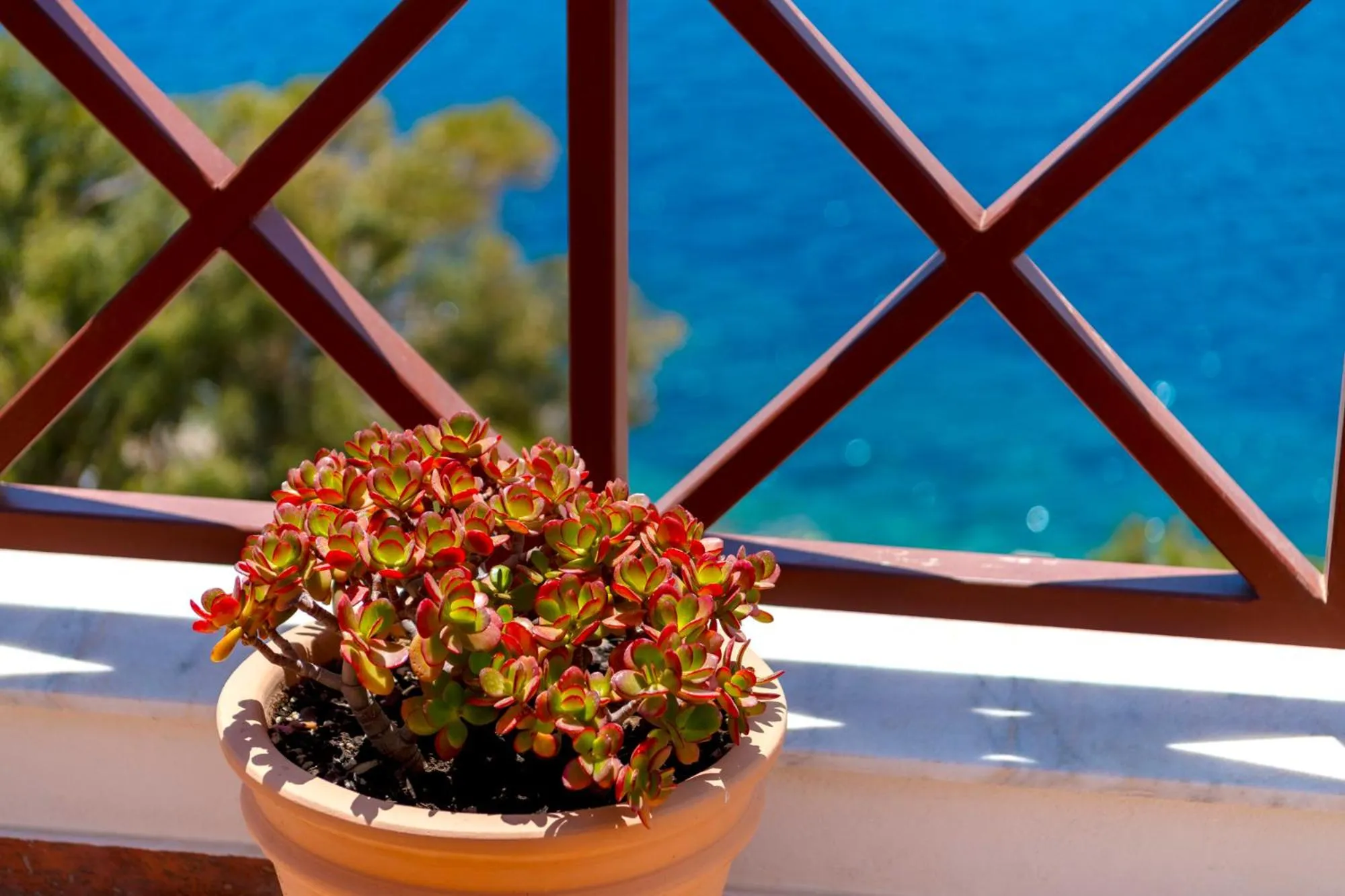 Day in Electra Syros - Adults Only