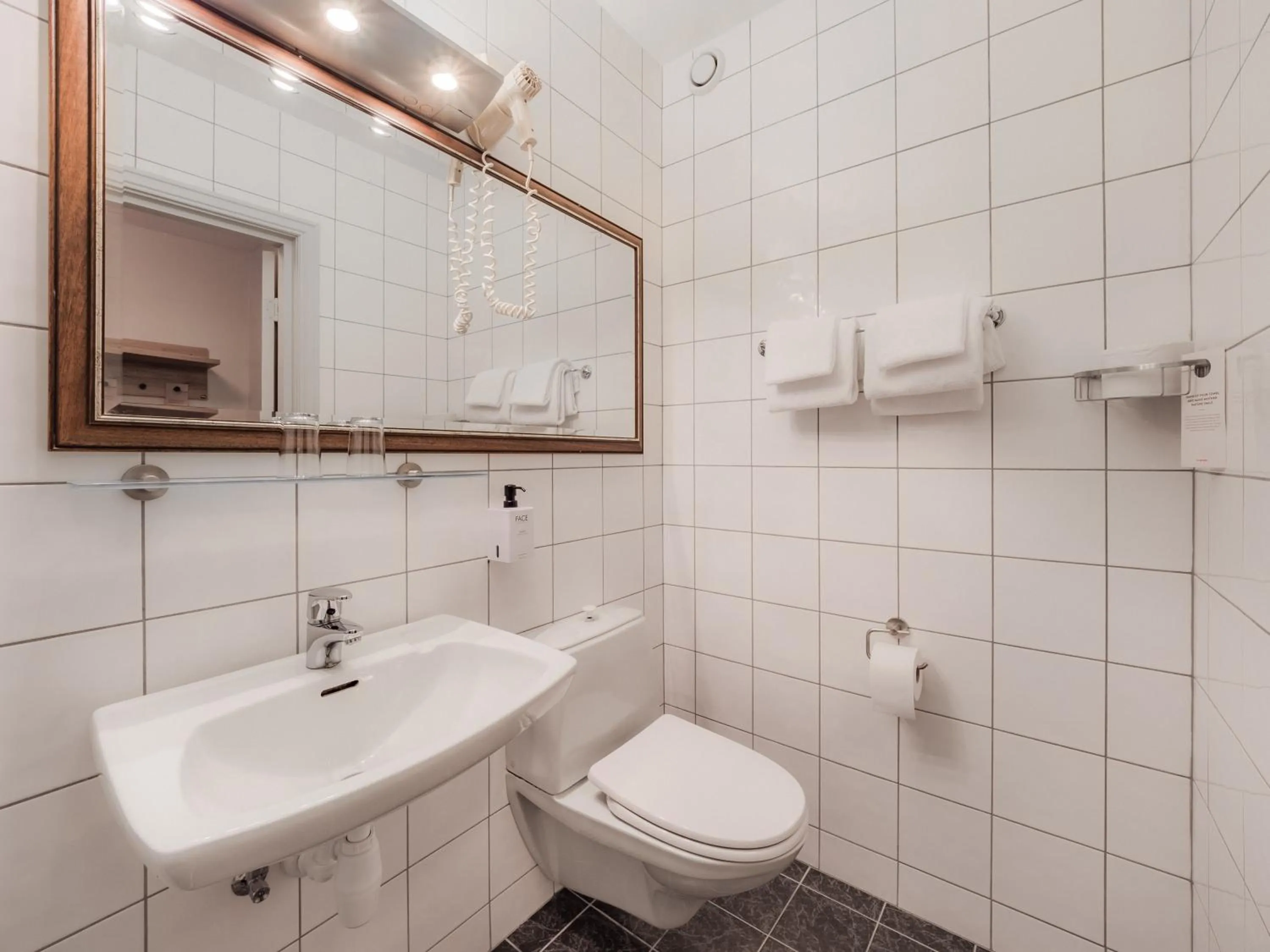 Toilet in Nordfjord Hotell