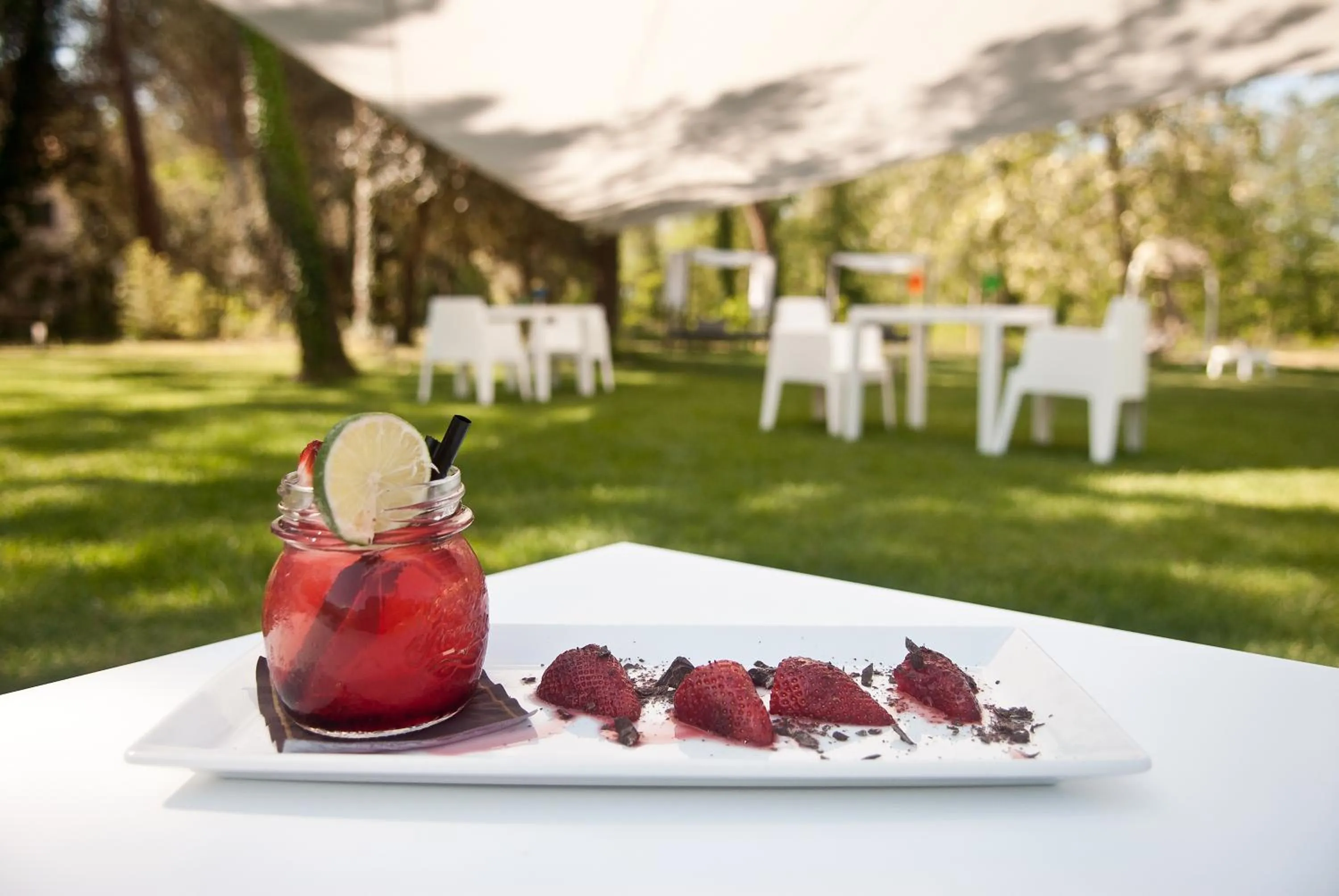 Garden in Hotel Stella Della Versilia