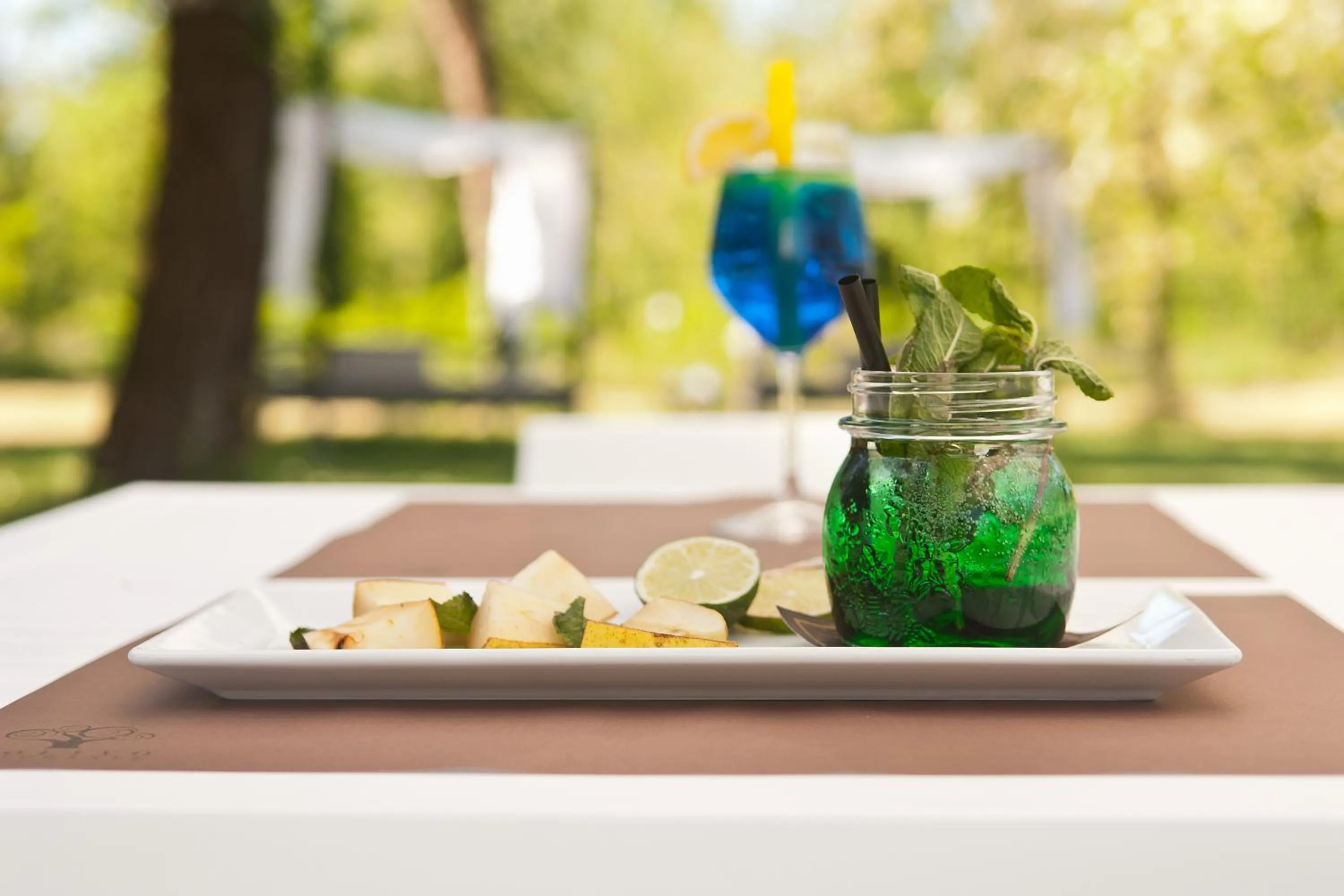 Garden in Hotel Stella Della Versilia