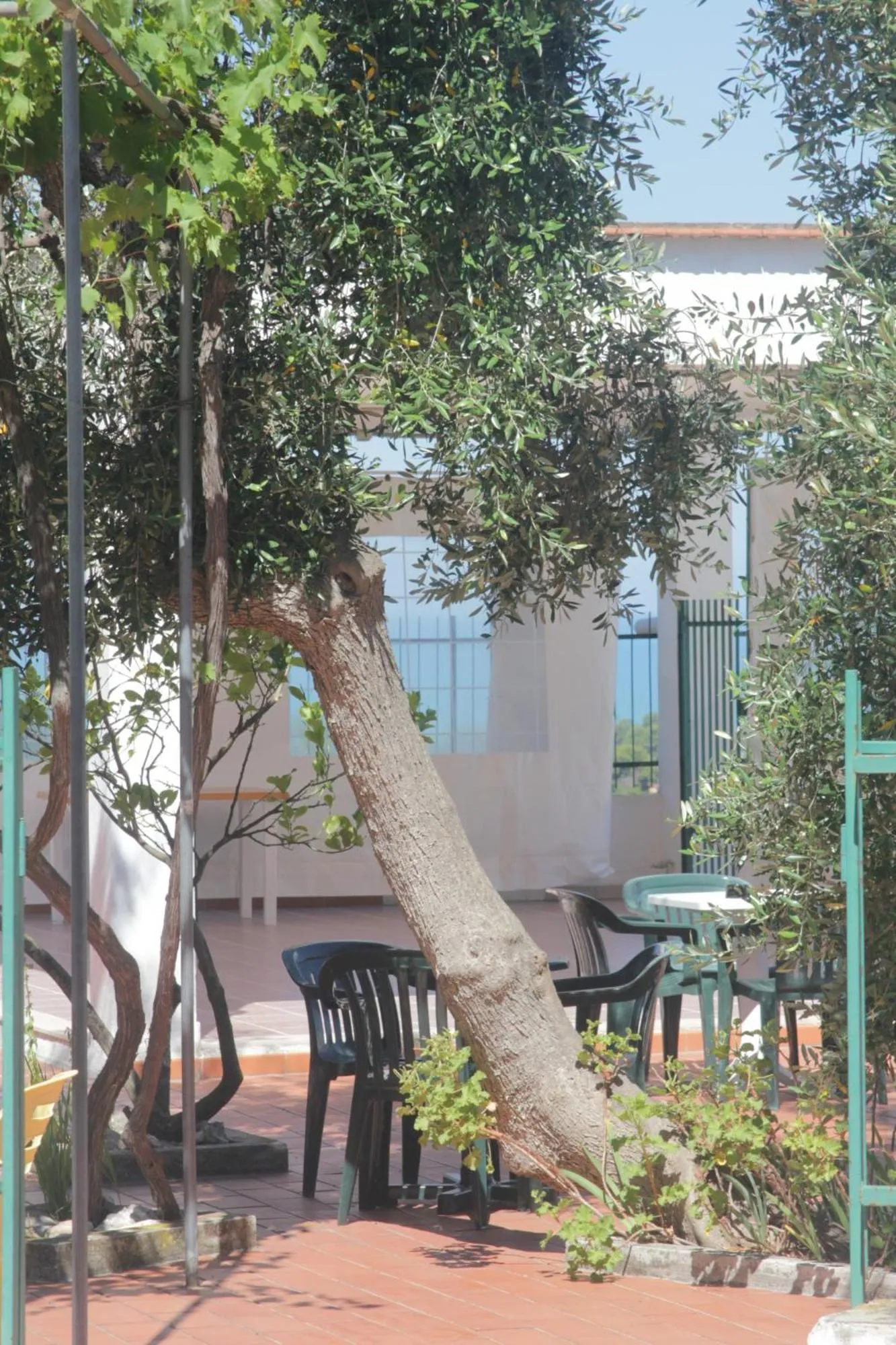 Garden in Albergo 2 Pini