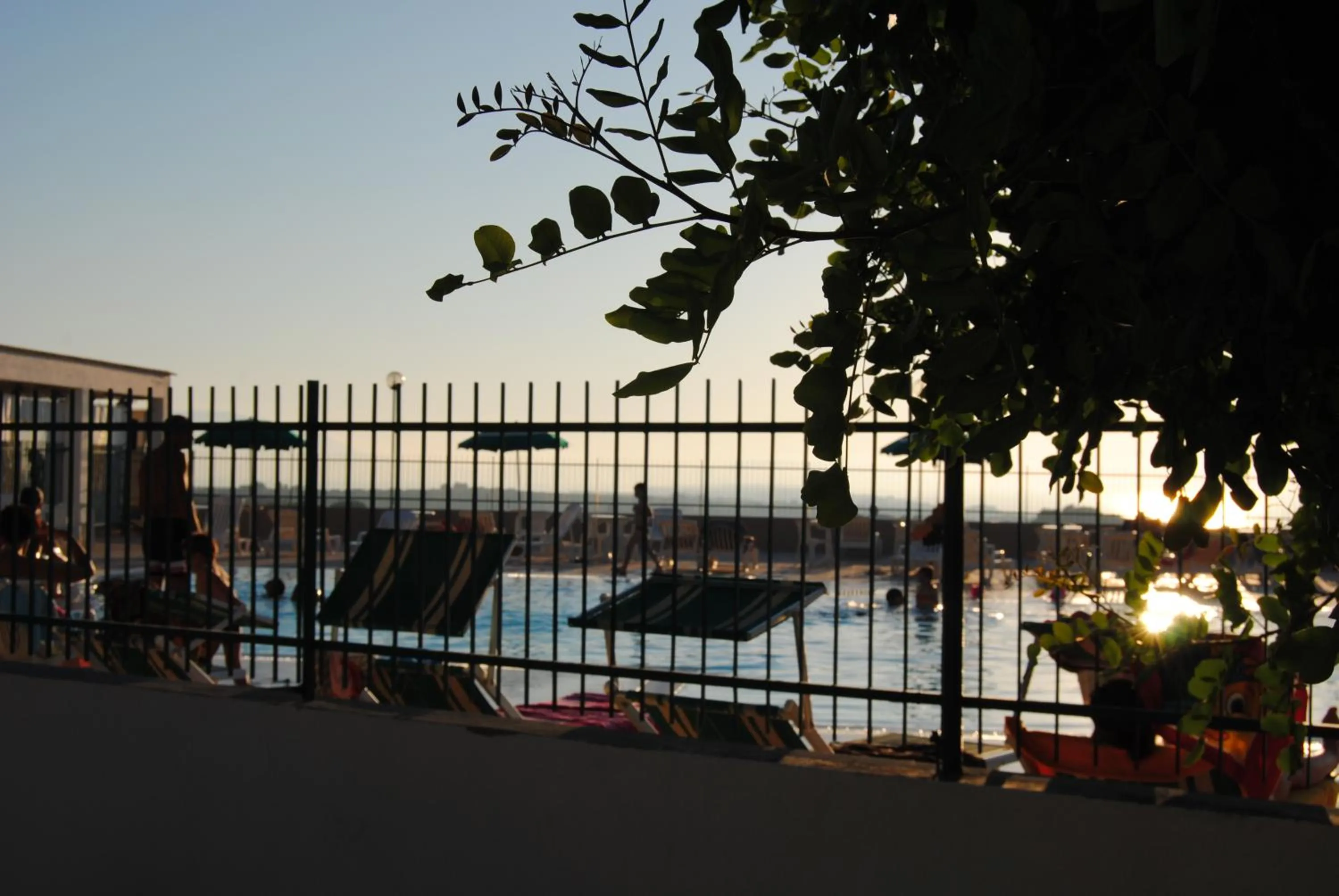 Swimming pool in Albergo 2 Pini