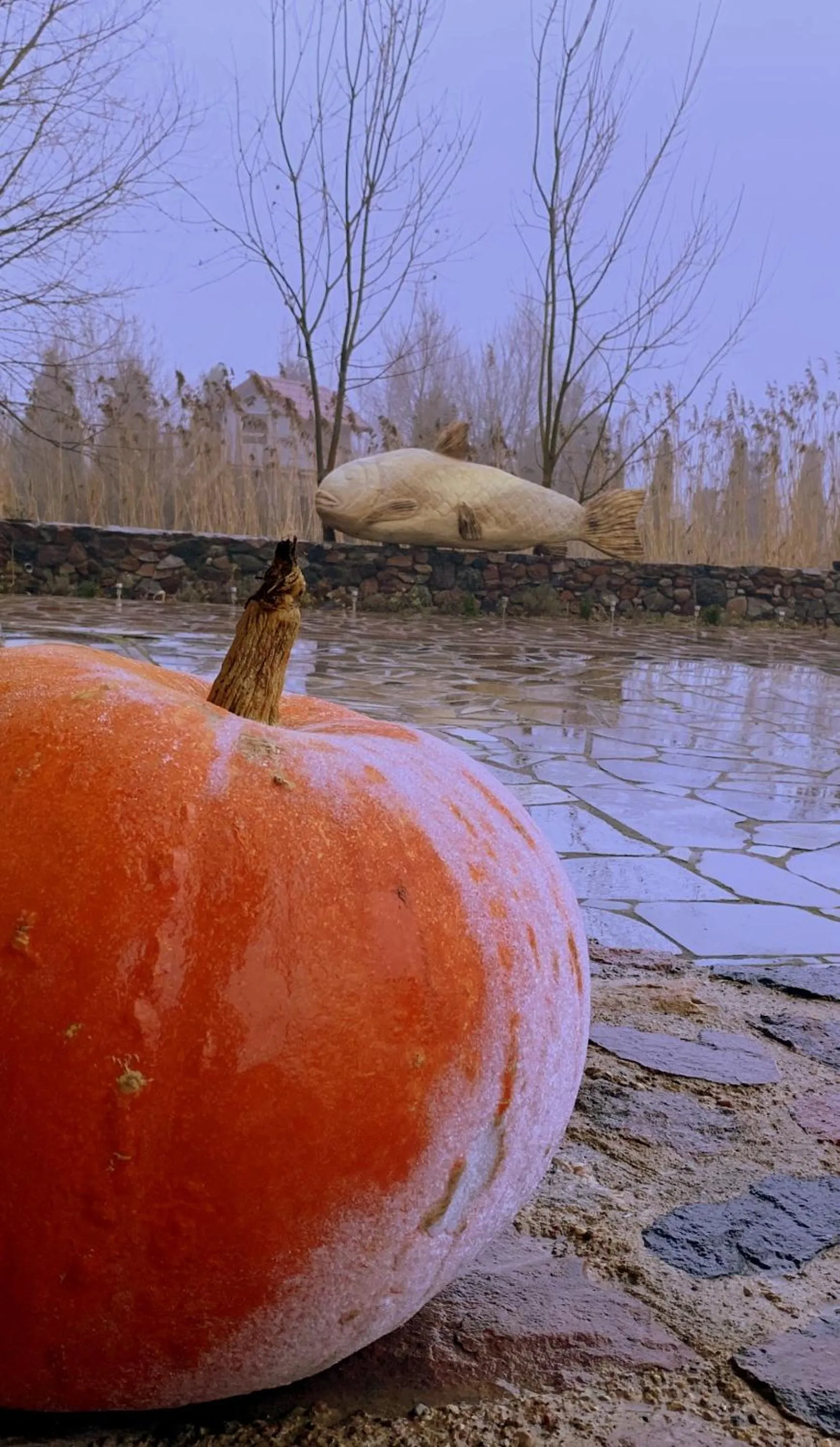 Day in Targowski Dwór Mazury