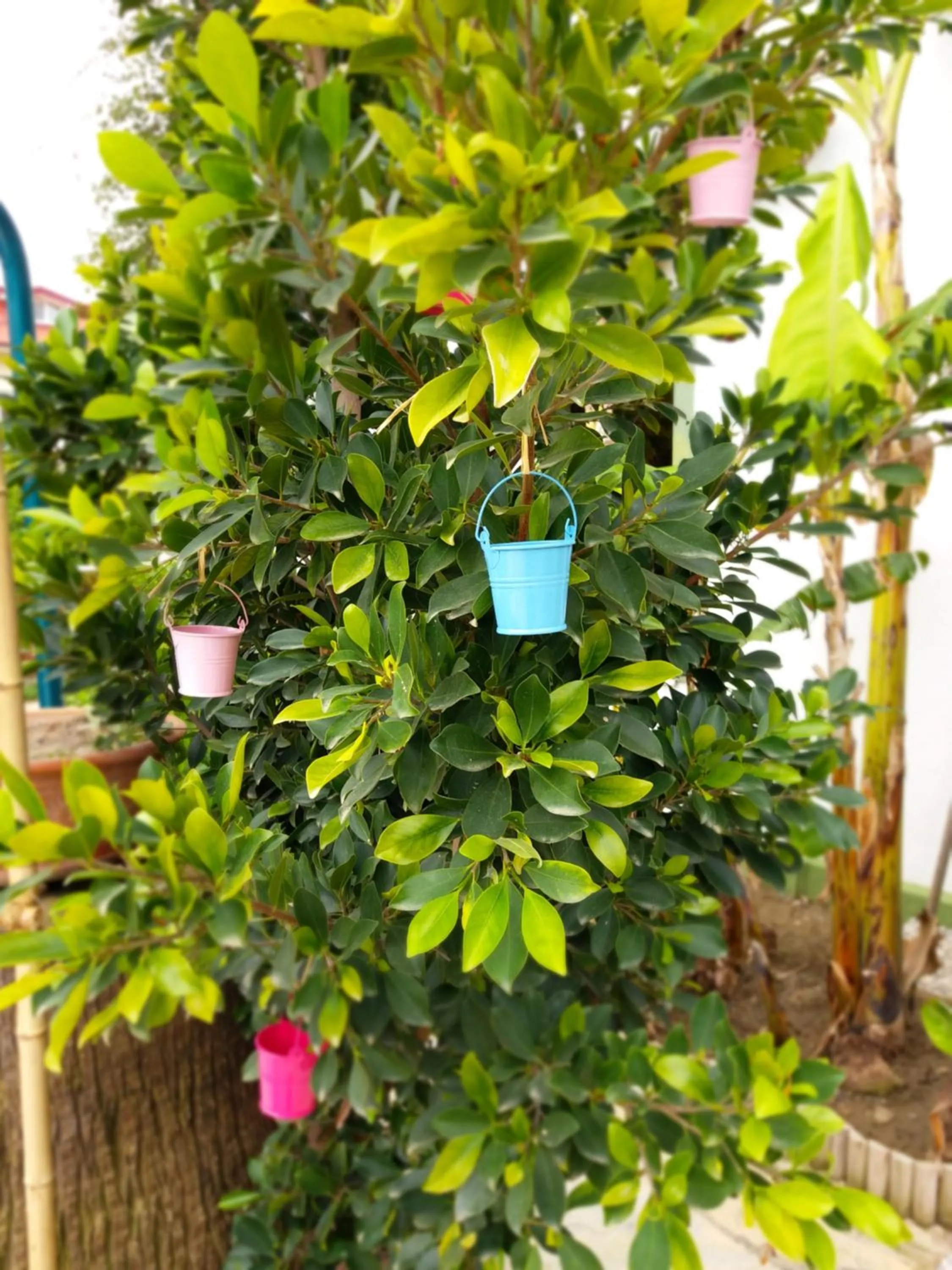 Garden in Kilim Hotel