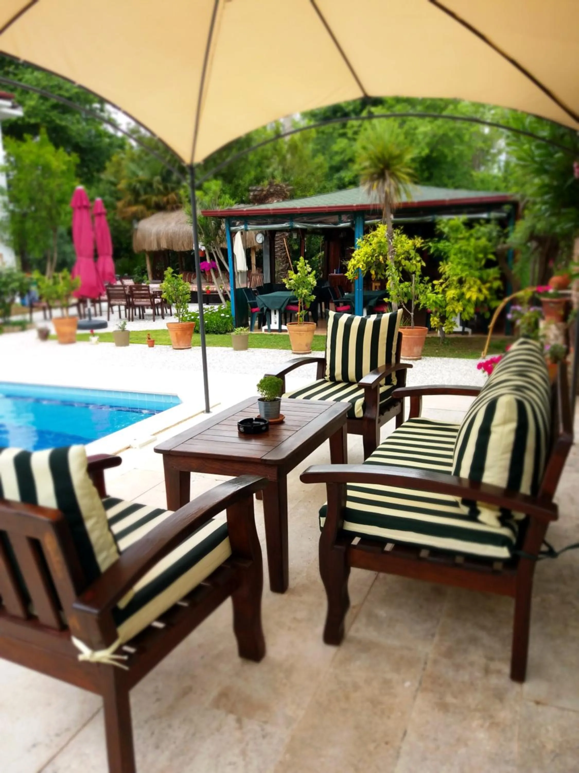 Garden in Kilim Hotel