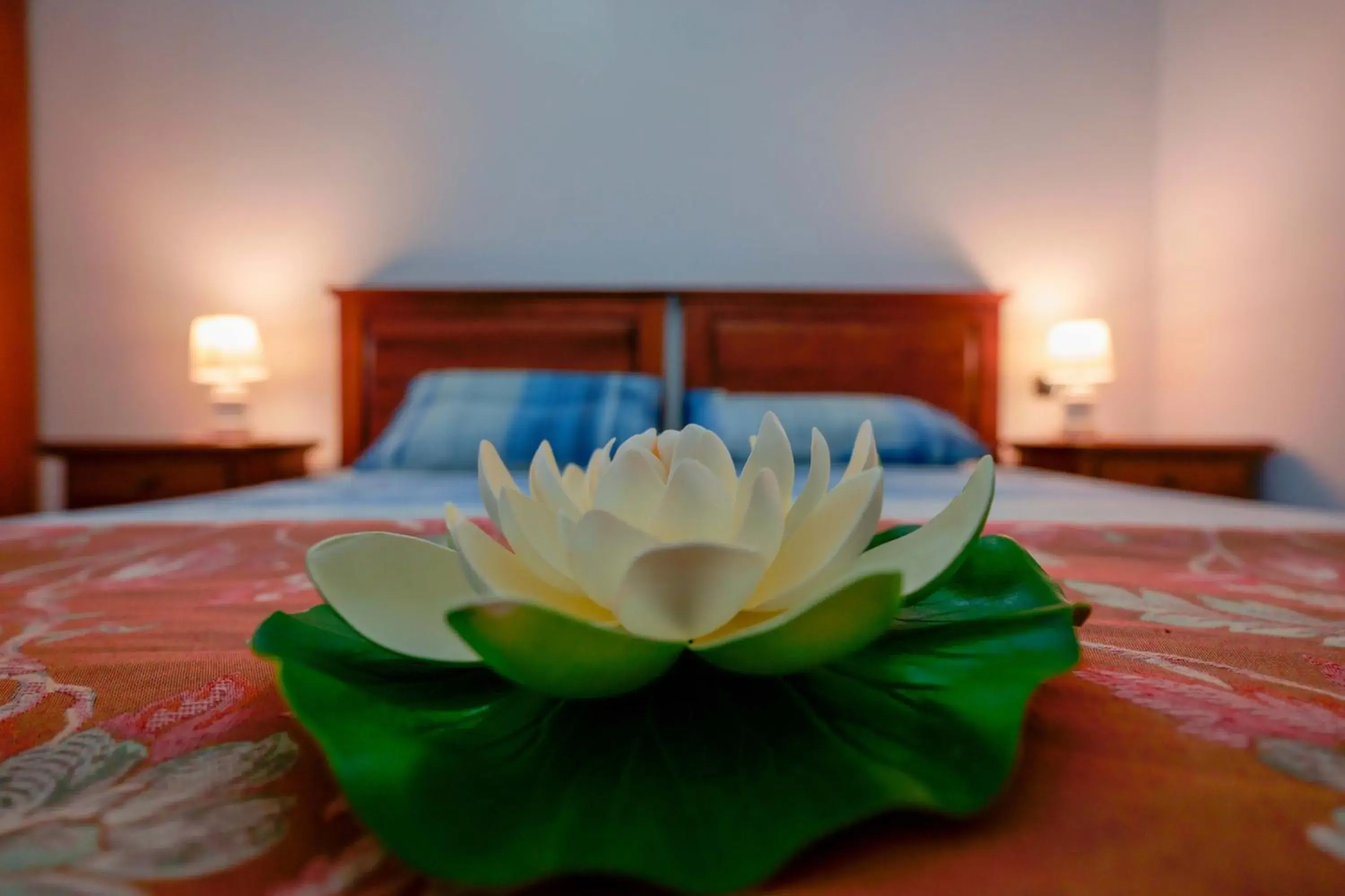 Single Room with Private Bathroom in Antico Frantoio Cairoli B&B Exclusive Room Single Room with Private Bathroom in Antico Frantoio Cairoli B&B Exclusive Room