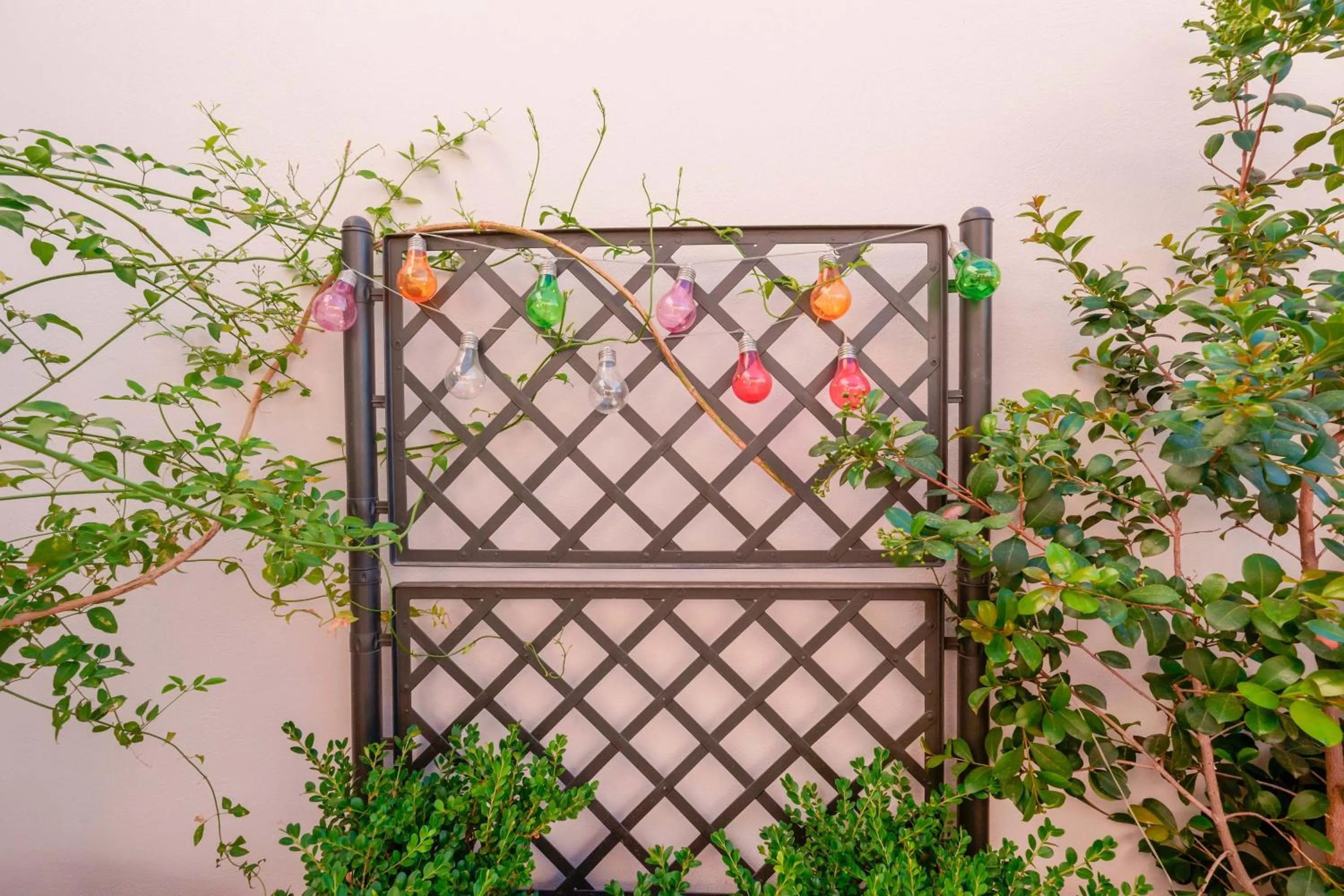 Balcony/Terrace in Antico Frantoio Cairoli B&B Exclusive Room