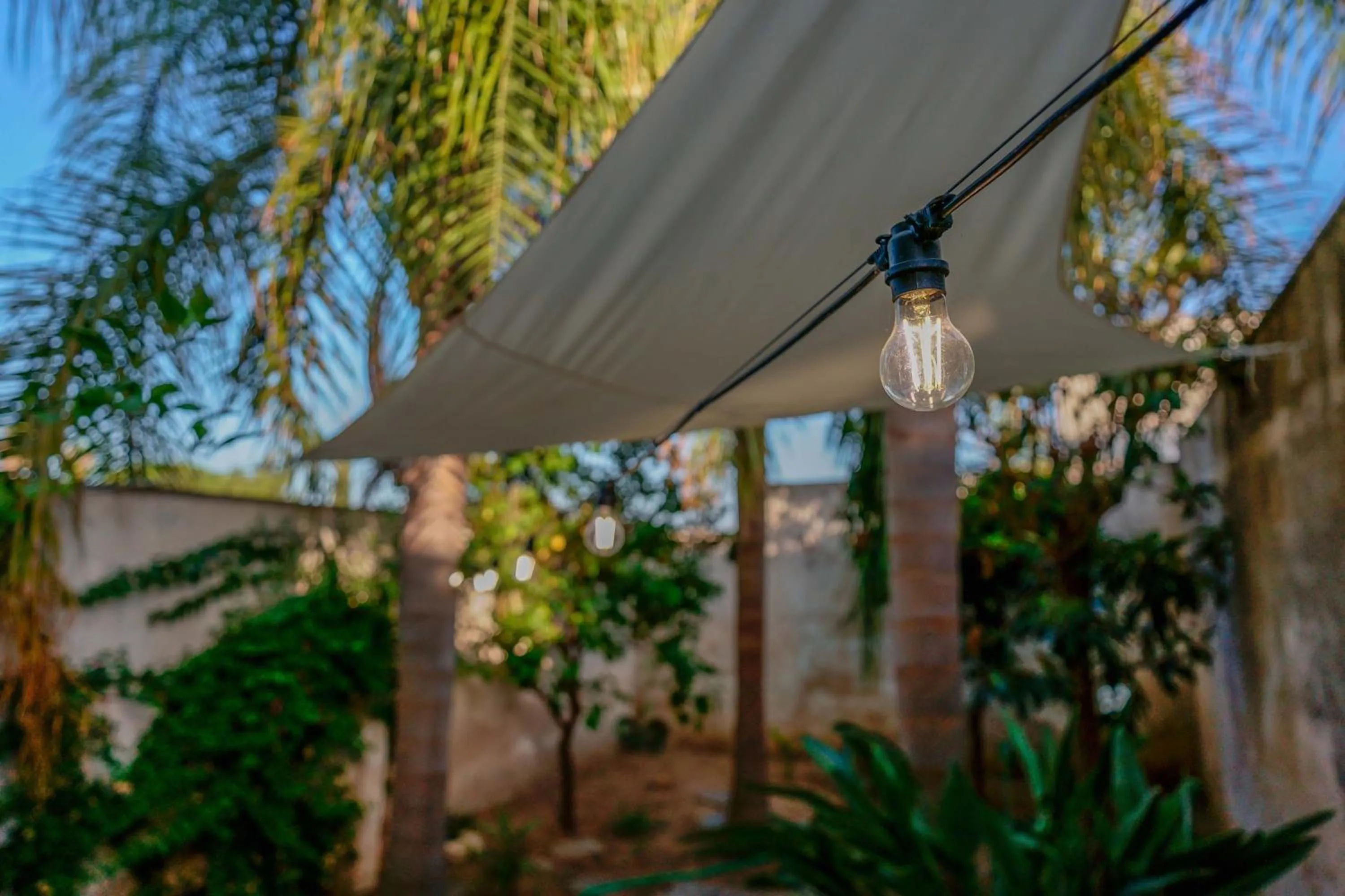 Garden in Antico Frantoio Cairoli B&B Exclusive Room