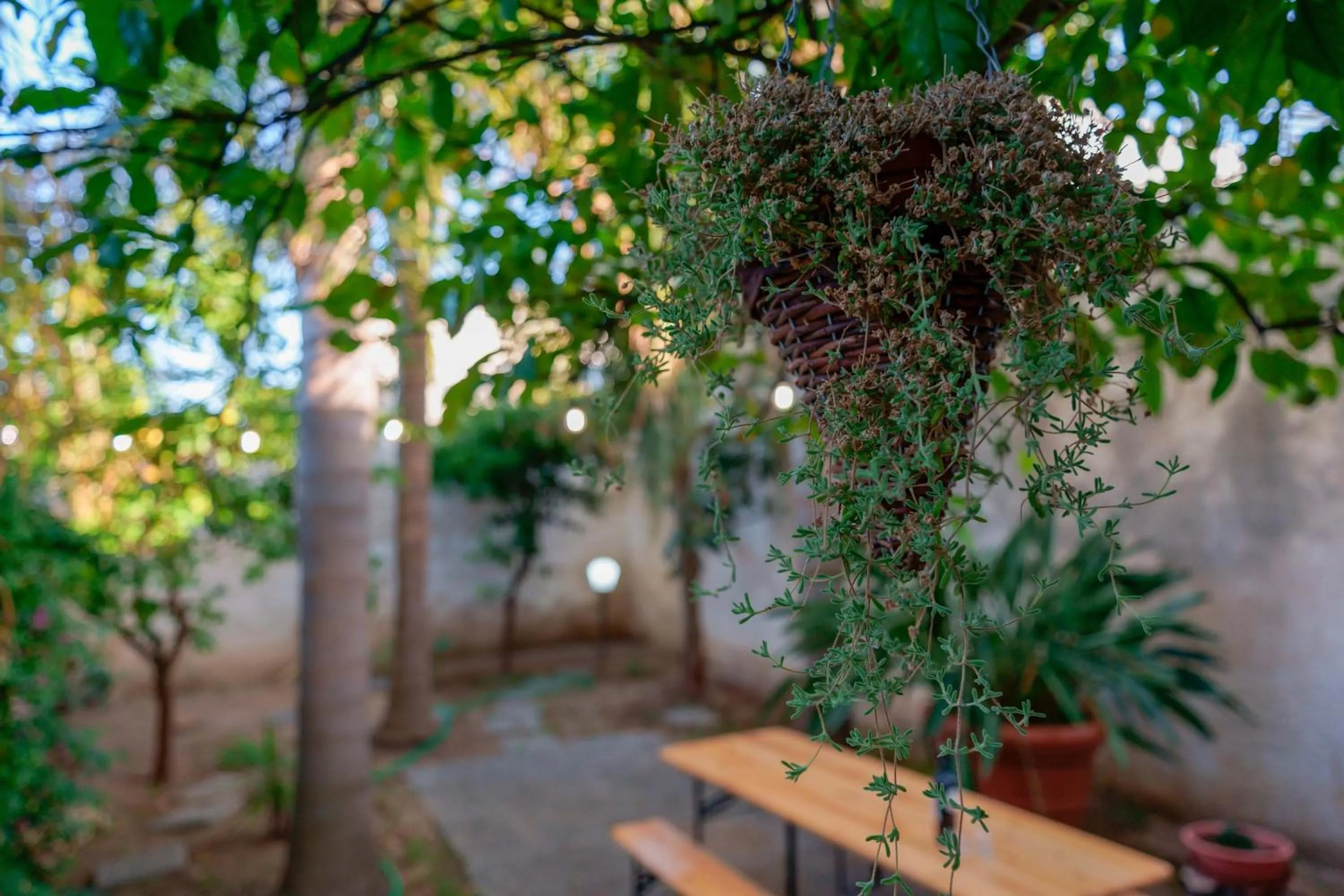 Garden in Antico Frantoio Cairoli B&B Exclusive Room