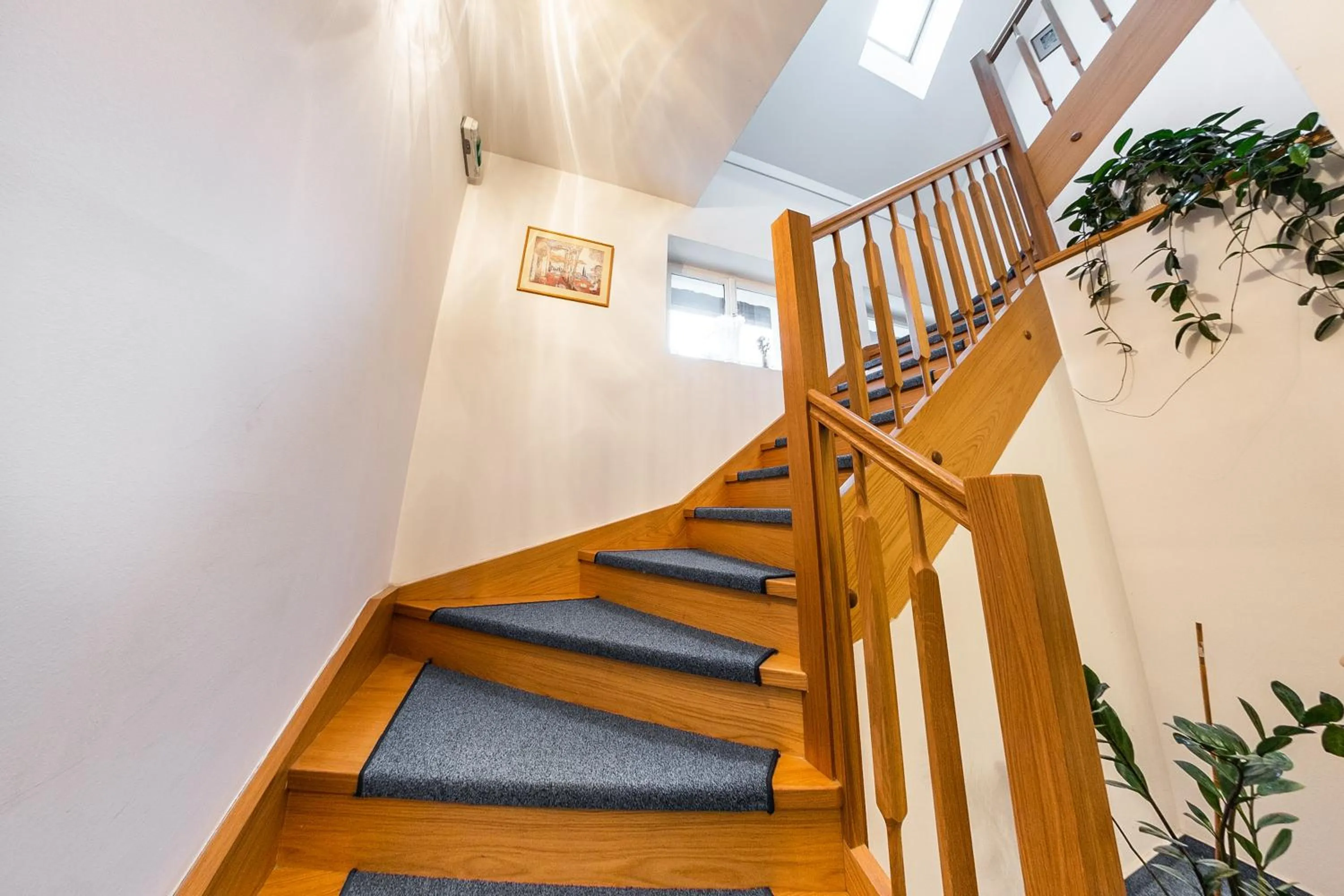 Area and facilities in Villa A. Malka