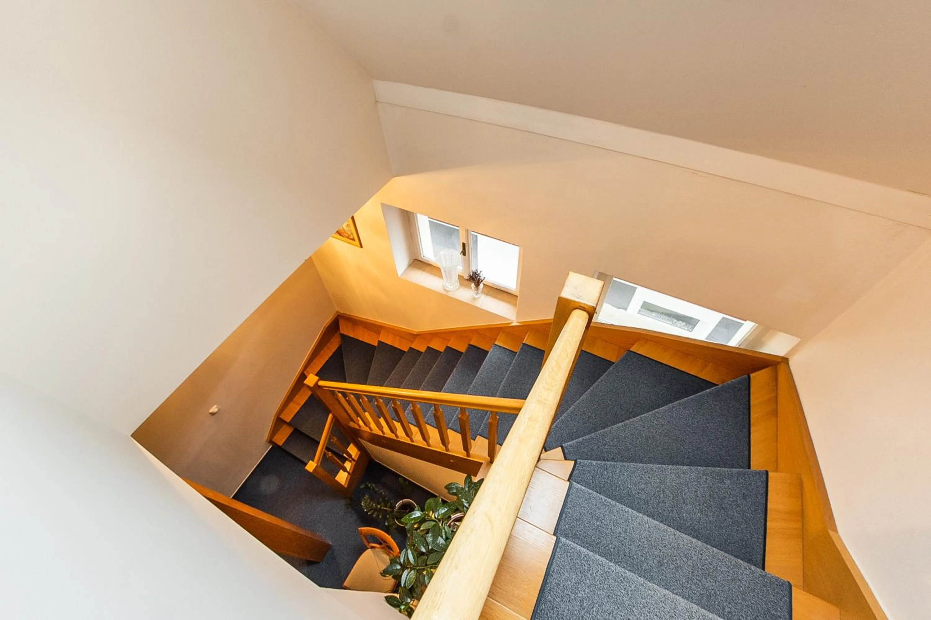 Area and facilities in Villa A. Malka