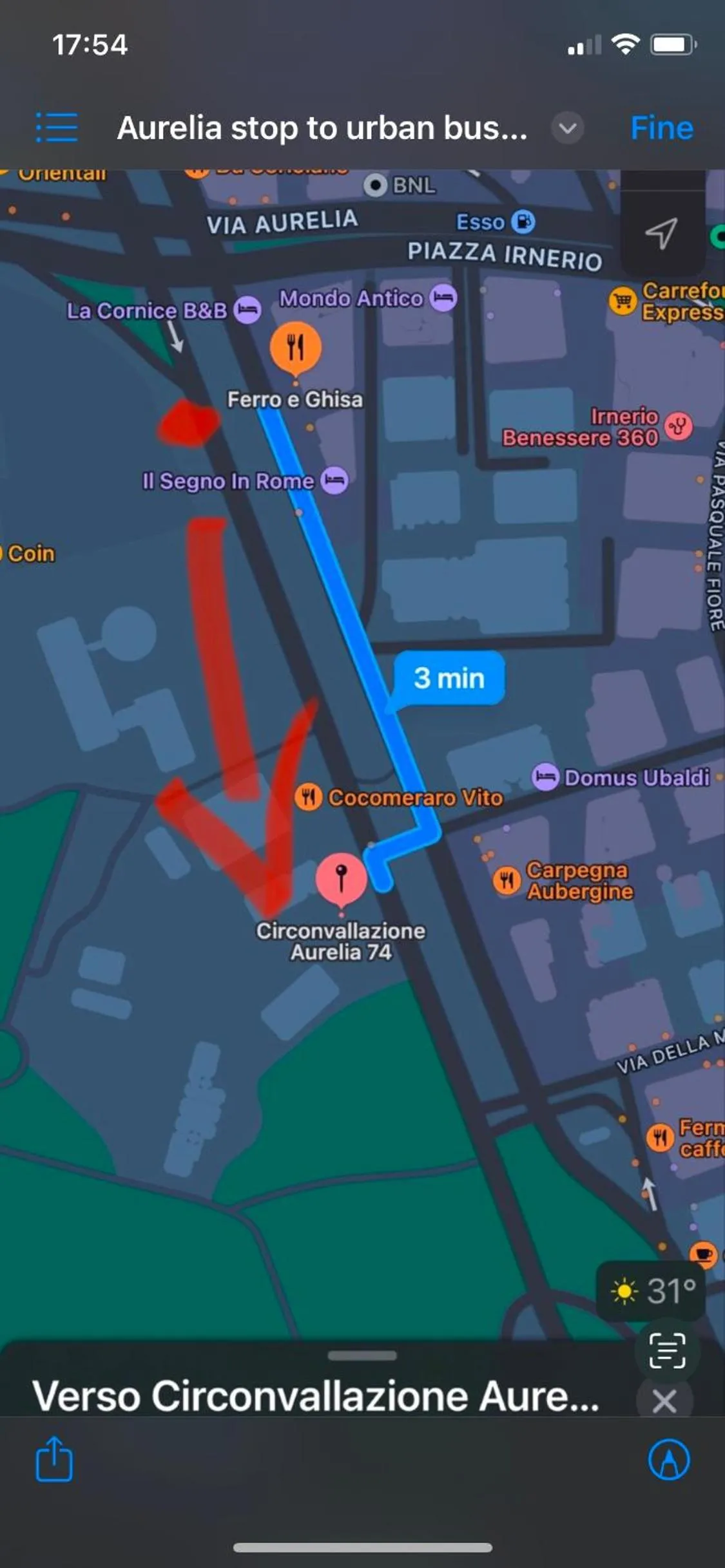 Text overlay in Domum Vaticani