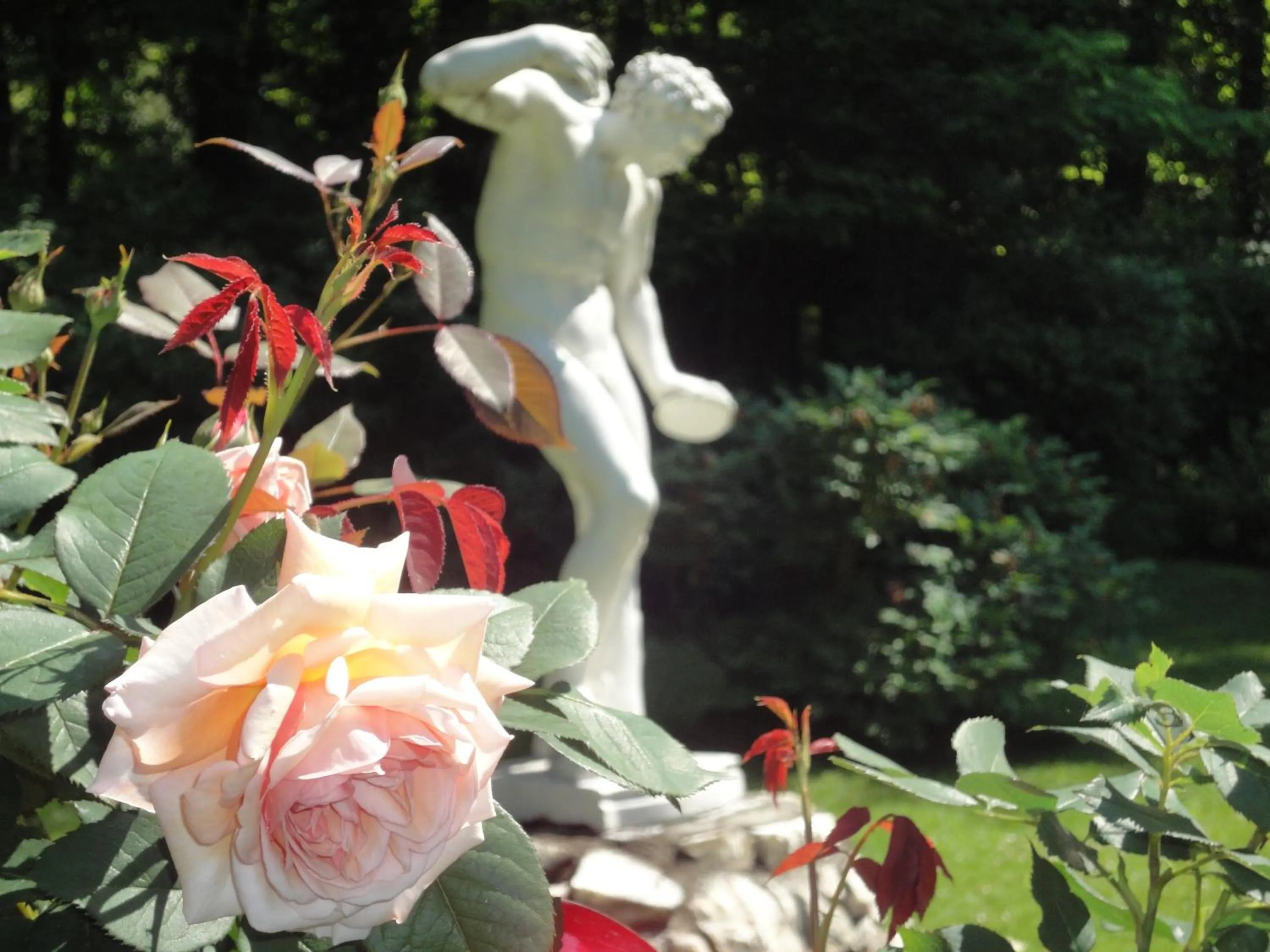 Garden view in Dermuth Hotels – Parkvilla Wörth