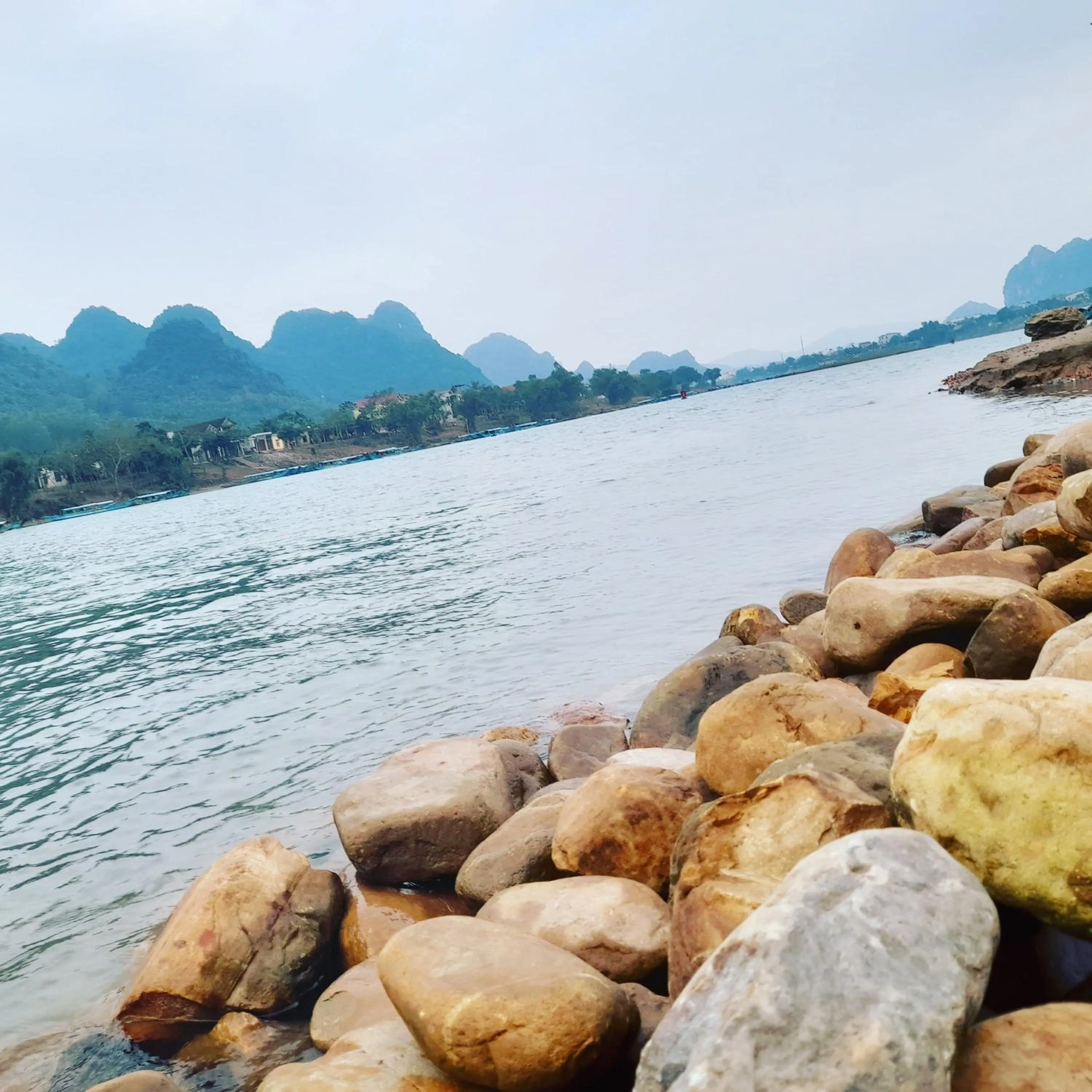 Natural landscape in Carambola Bungalow