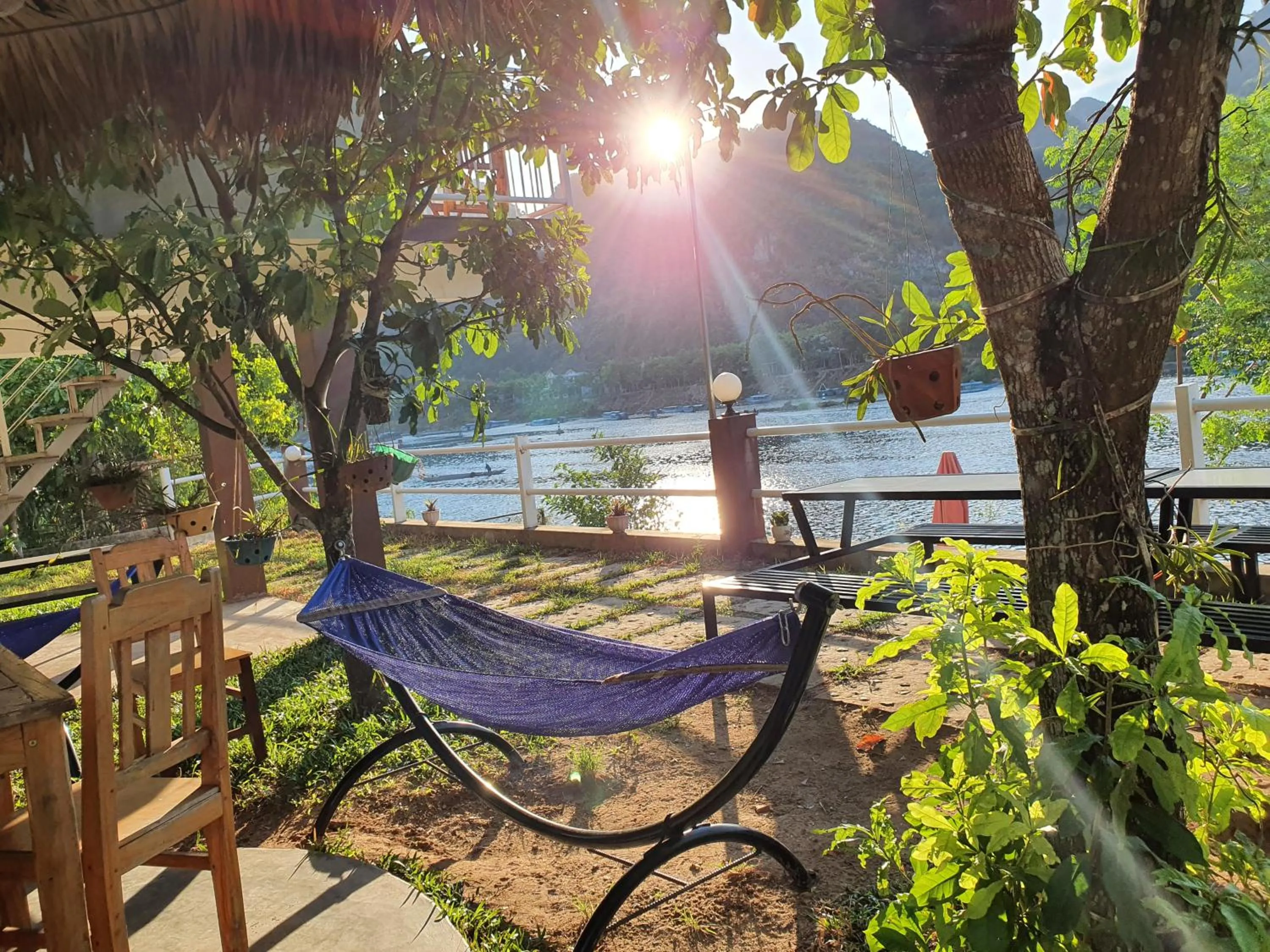 Garden in Carambola Bungalow