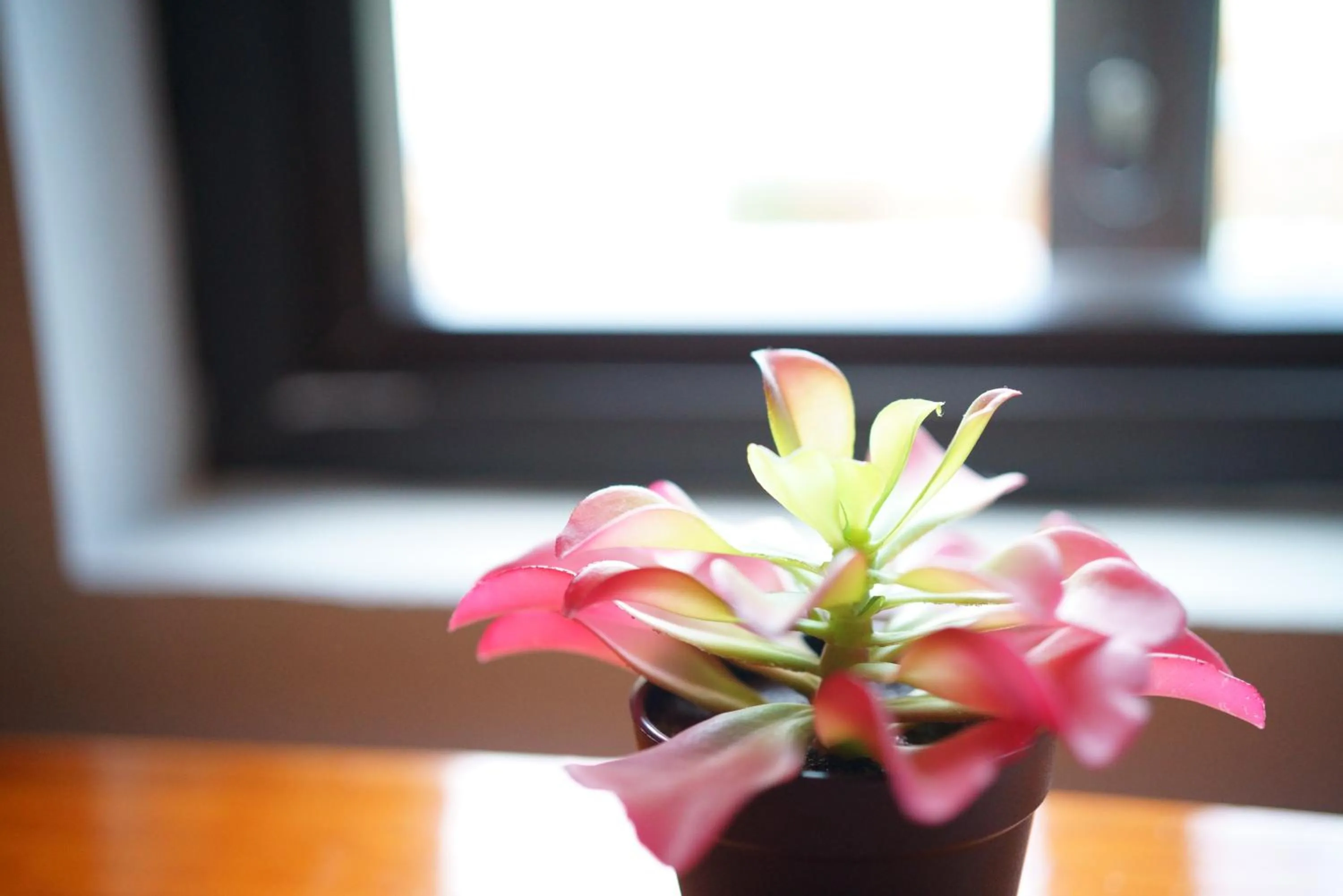 Property building in Carambola Bungalow