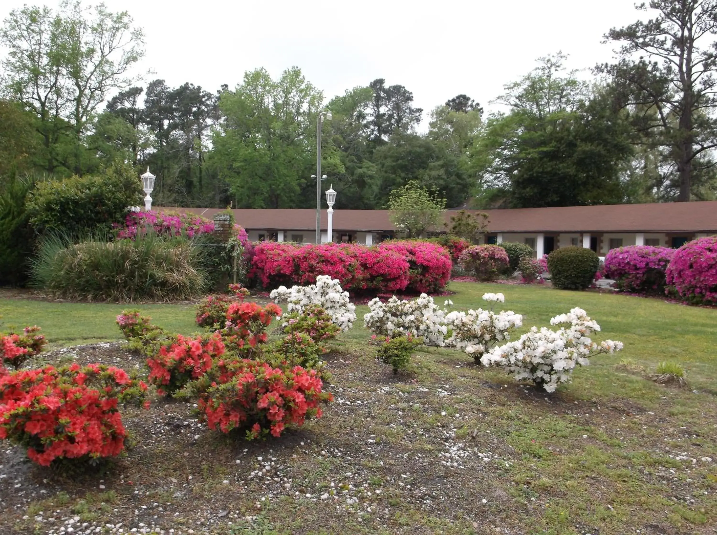 Azalea Inn & Suites Azalea Inn & Suites