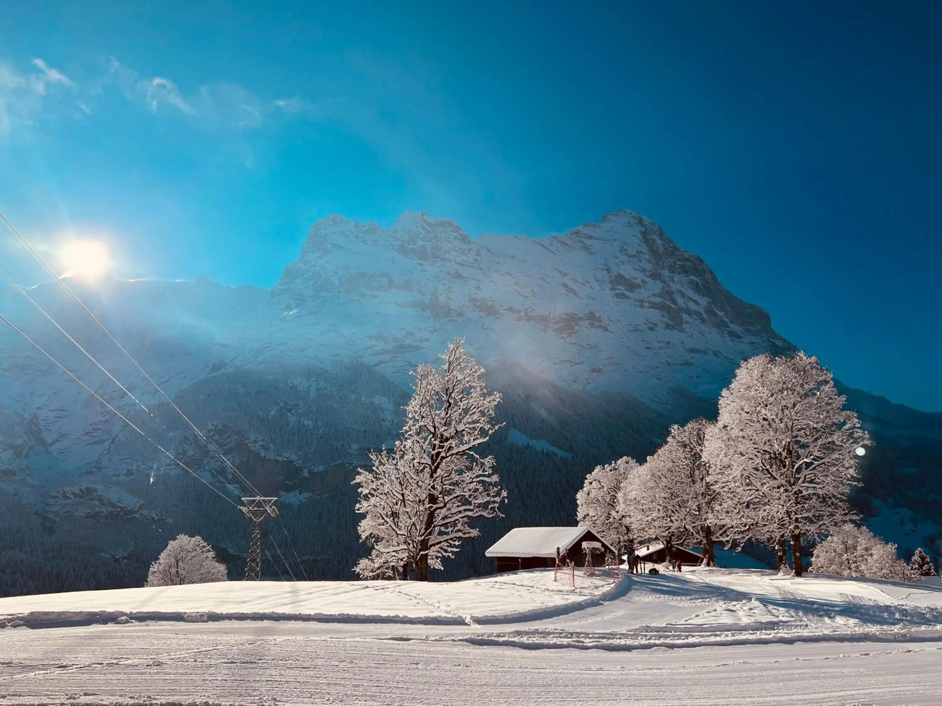 View (from property/room) in Hotel Bodmi