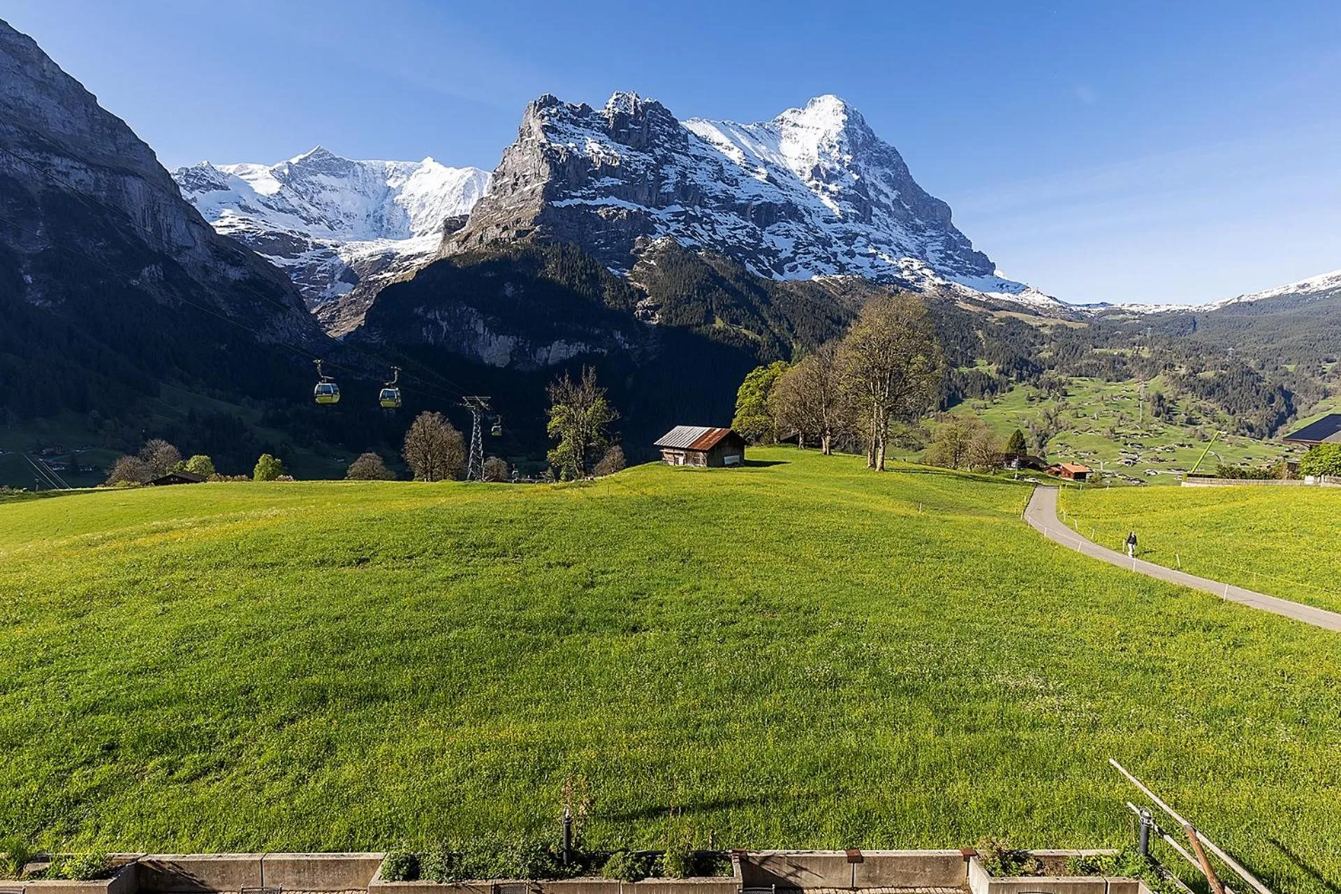 View (from property/room) in Hotel Bodmi