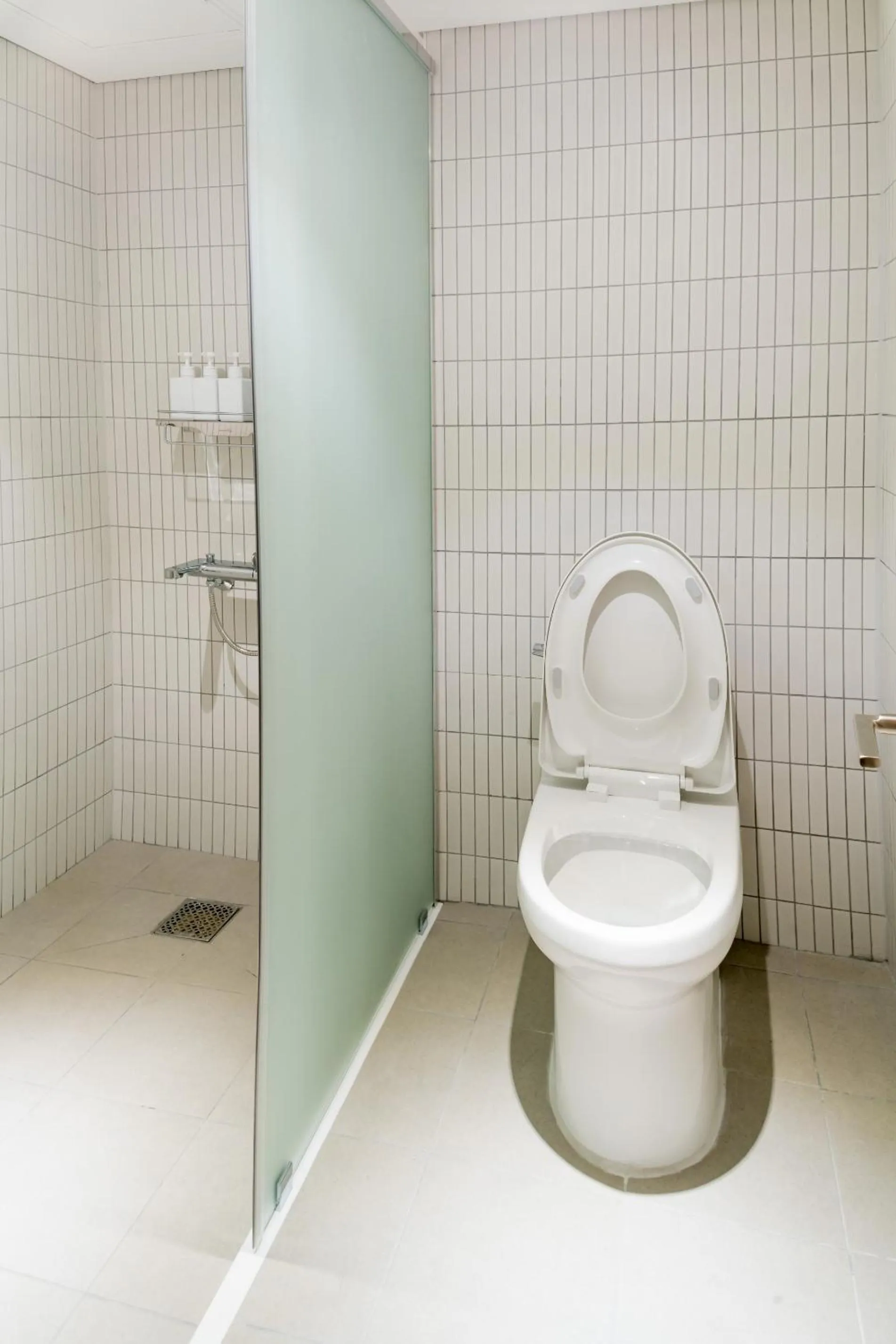 Toilet in Upflo Hostel