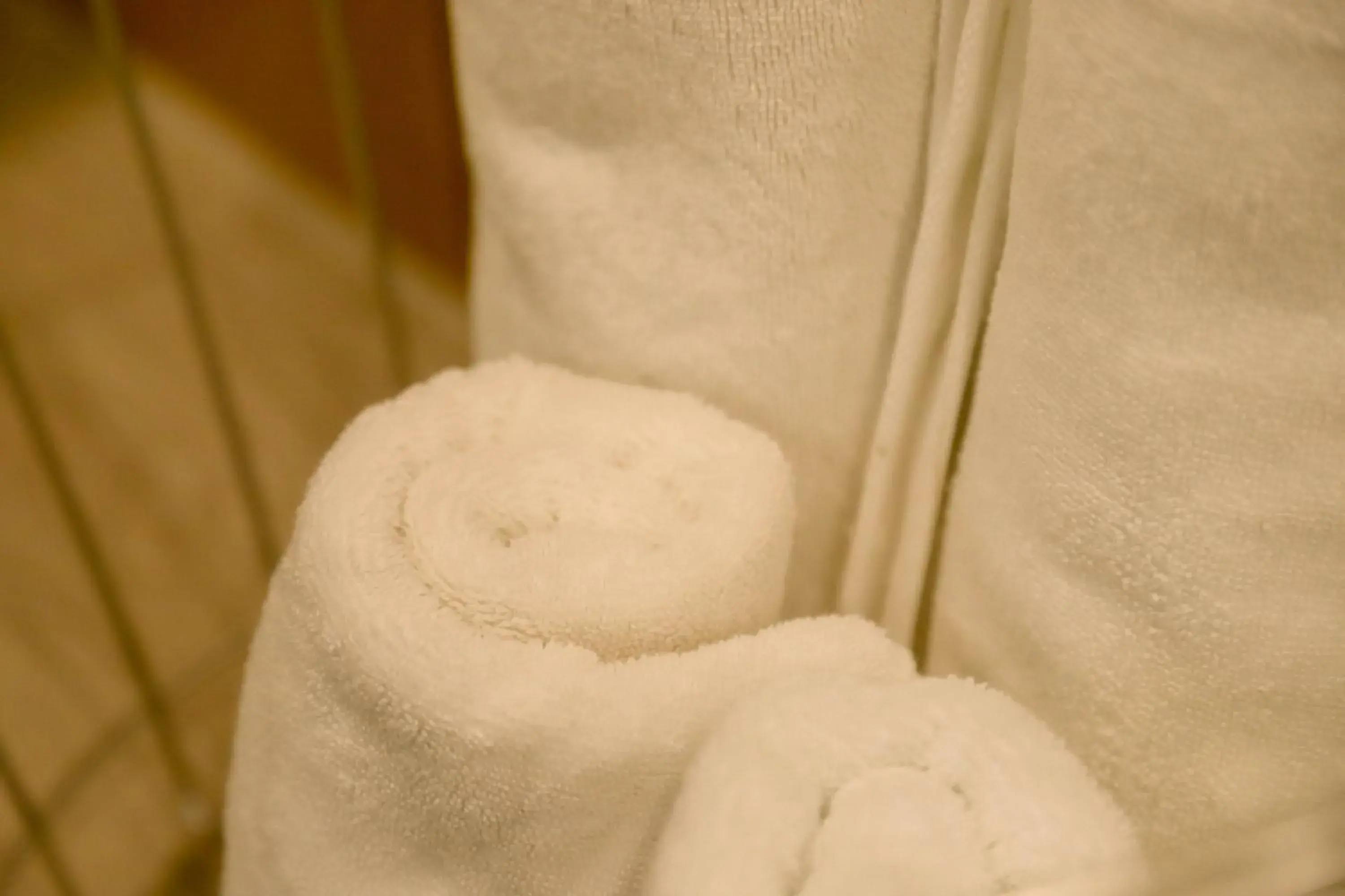 Toilet in Upflo Hostel Toilet in Upflo Hostel