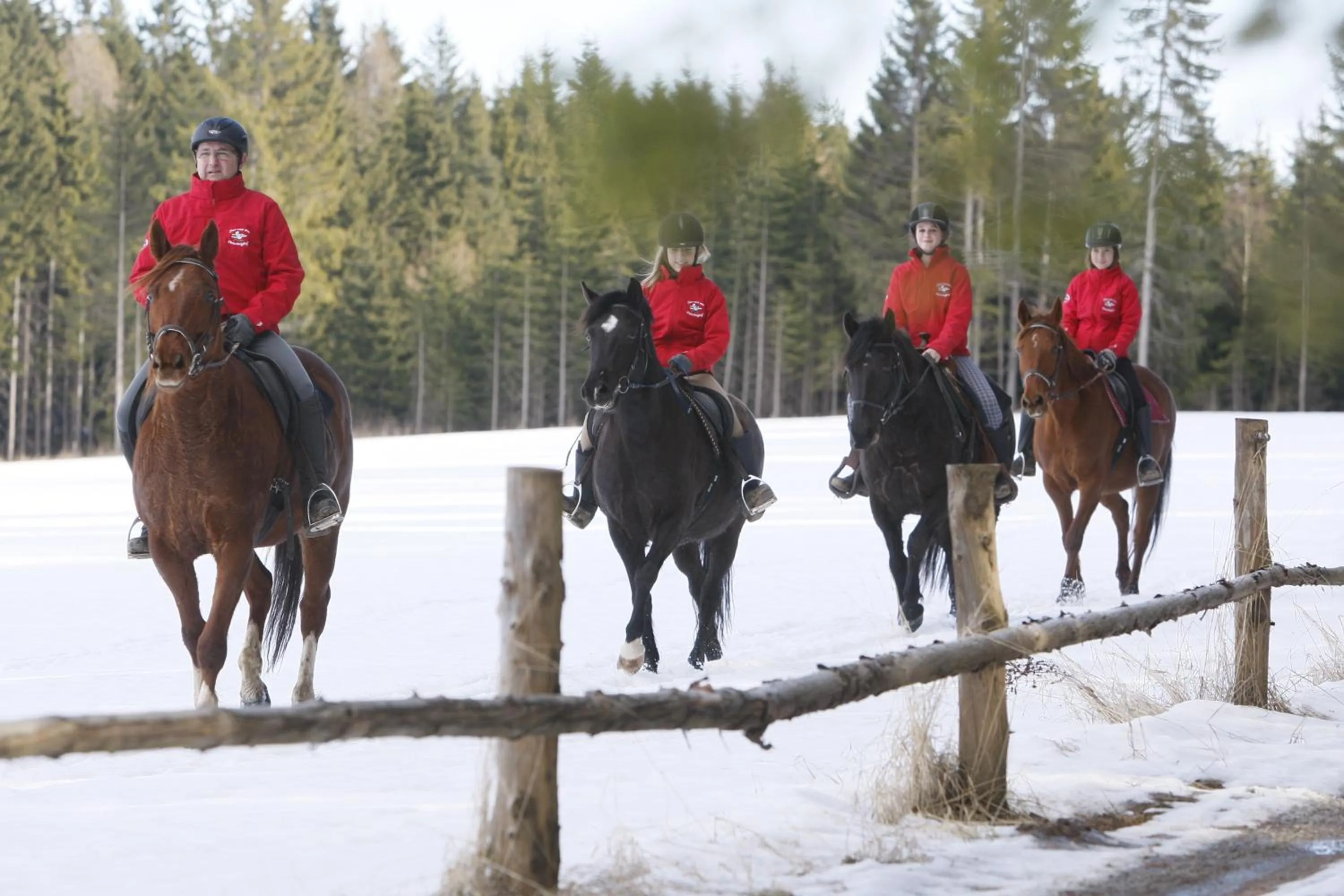 Horse-riding in Familienhotel Petschnighof