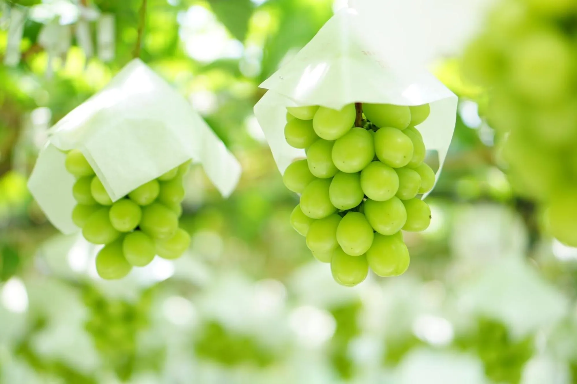 Nearby landmark in Tabist Hotel Rakuserina