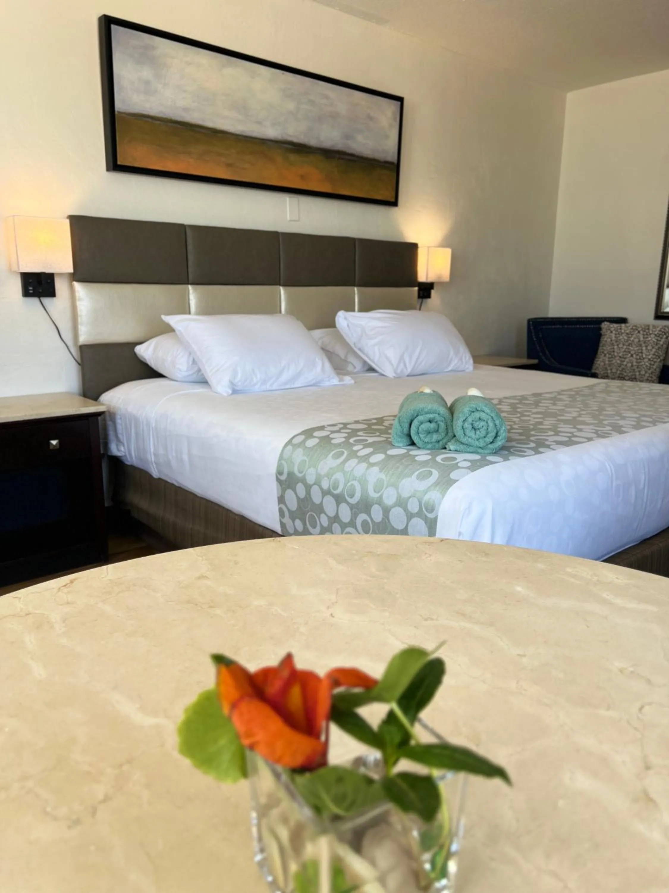 Ocean View Balcony King Room W/Kitchen in Flamingo Inn Beachfront - Daytona Beach
